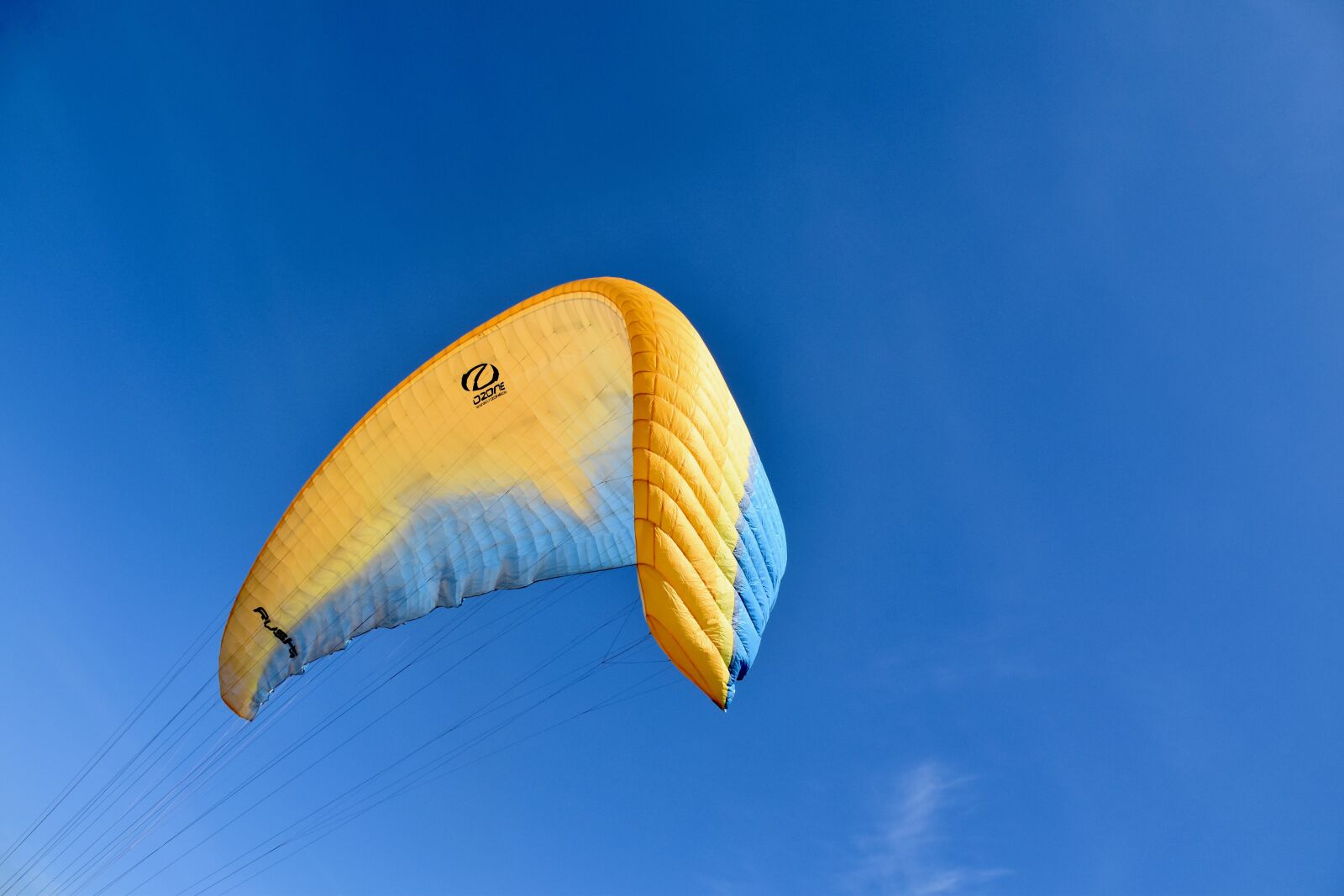 Nikon D5600 sample photo. Paraglider, paragliding, sailing paragliding photography