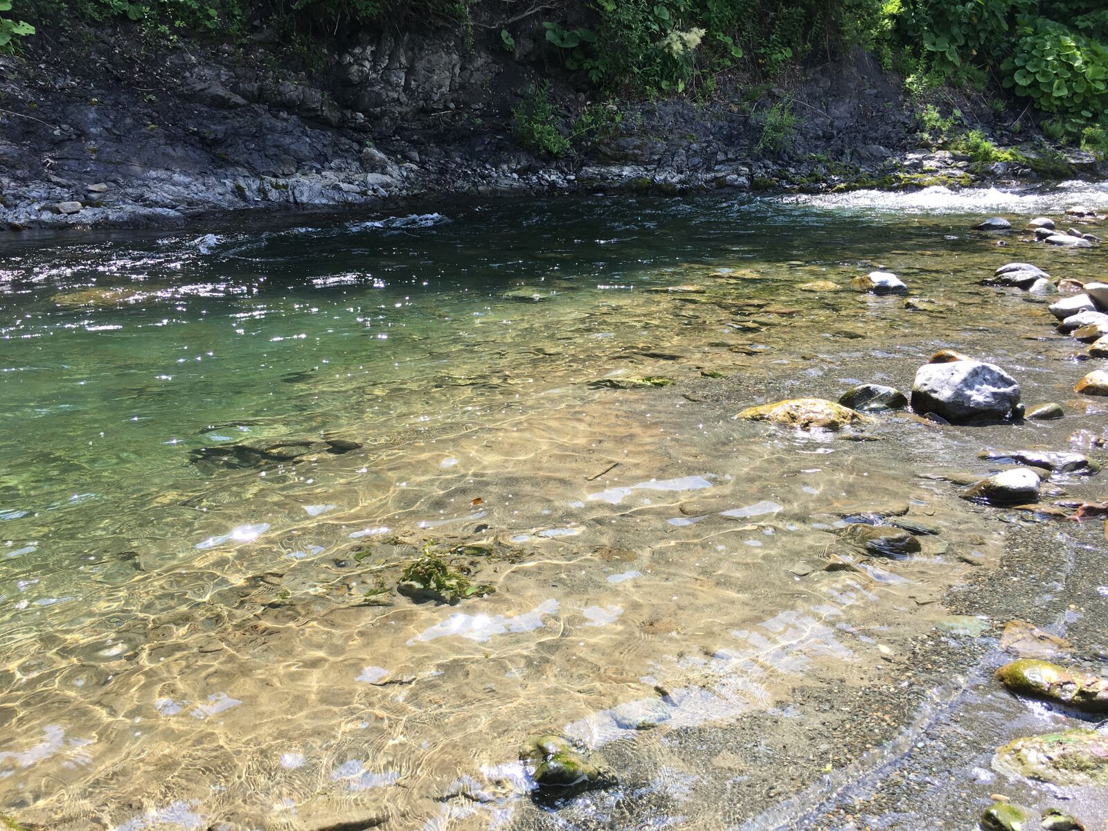 iPhone 6s back camera 4.15mm f/2.2 sample photo
