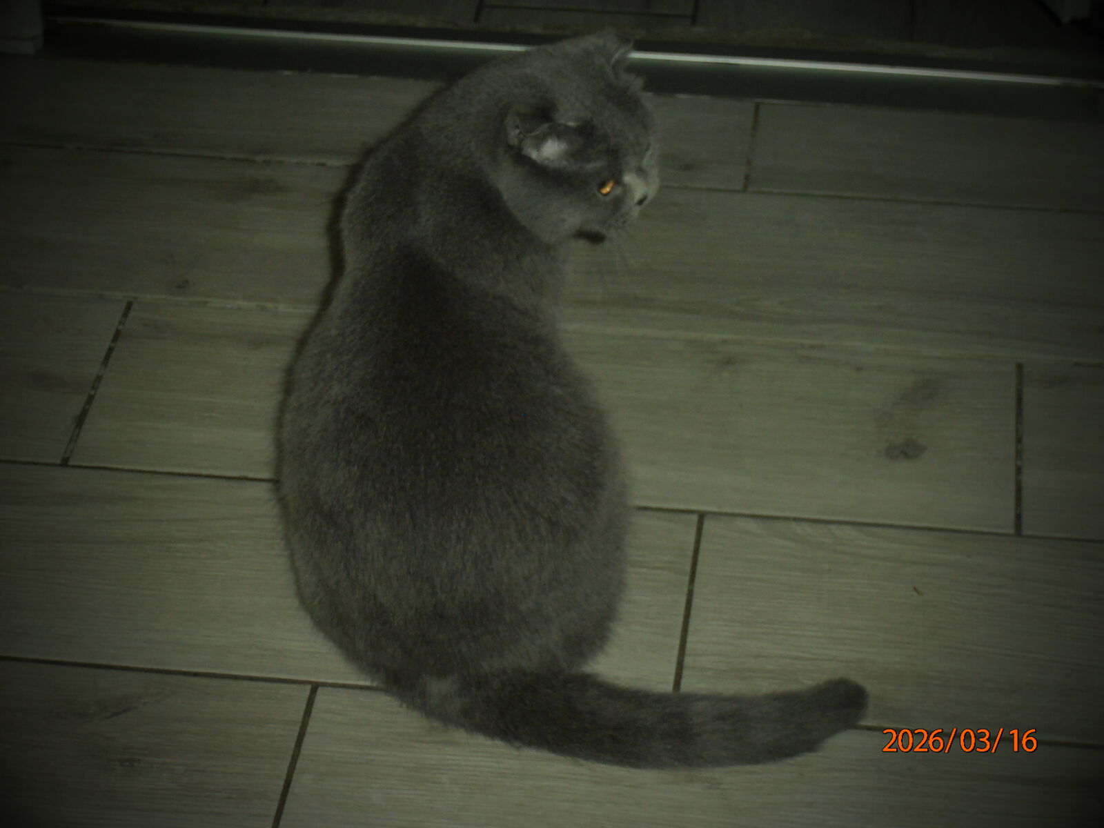 Olympus VR320,D725 sample photo