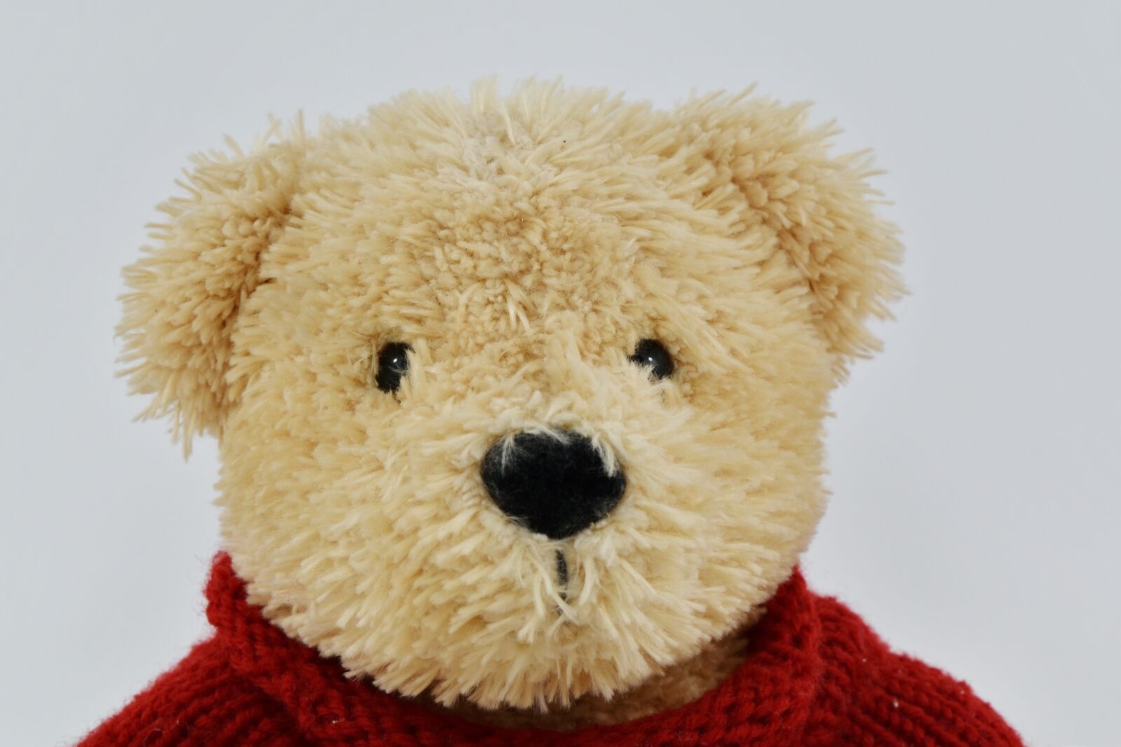 Nikon D5500 sample photo. Head, light brown, plush photography