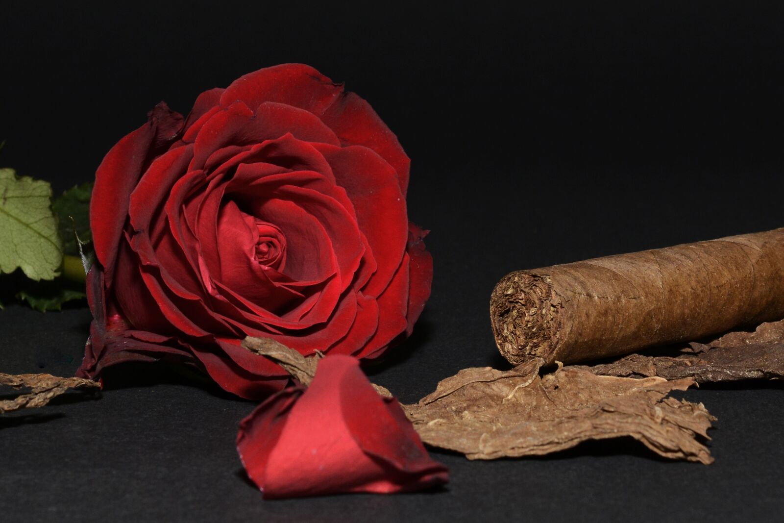Nikon D7100 sample photo. Rose, red rose, cigar photography