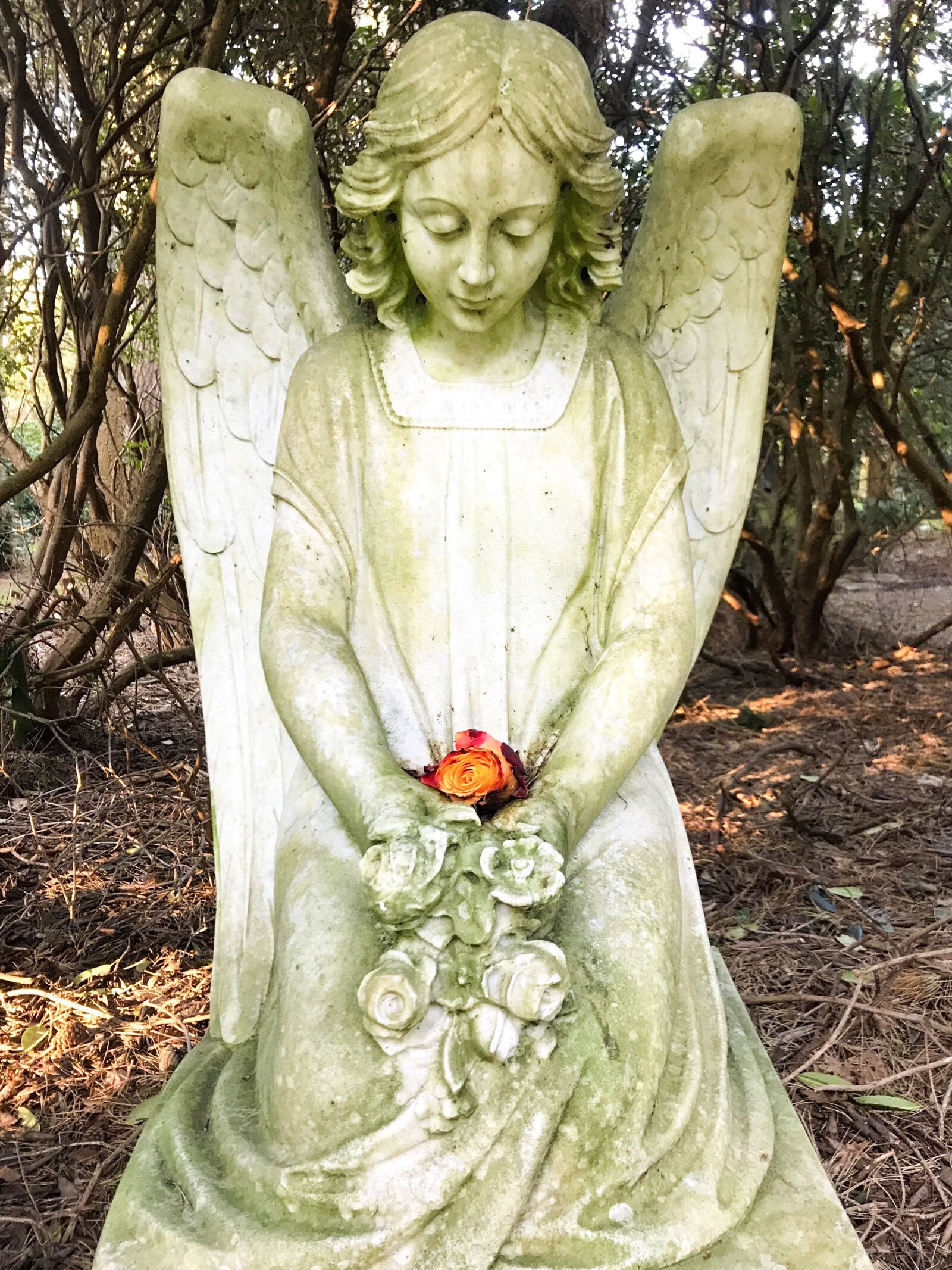 iPhone 7 back camera 3.99mm f/1.8 sample photo. Angel, statue, figure photography