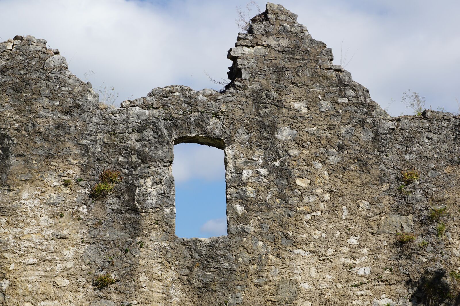 Sony DT 16-50mm F2.8 SSM sample photo. Castle, ruin, tuttlingen photography