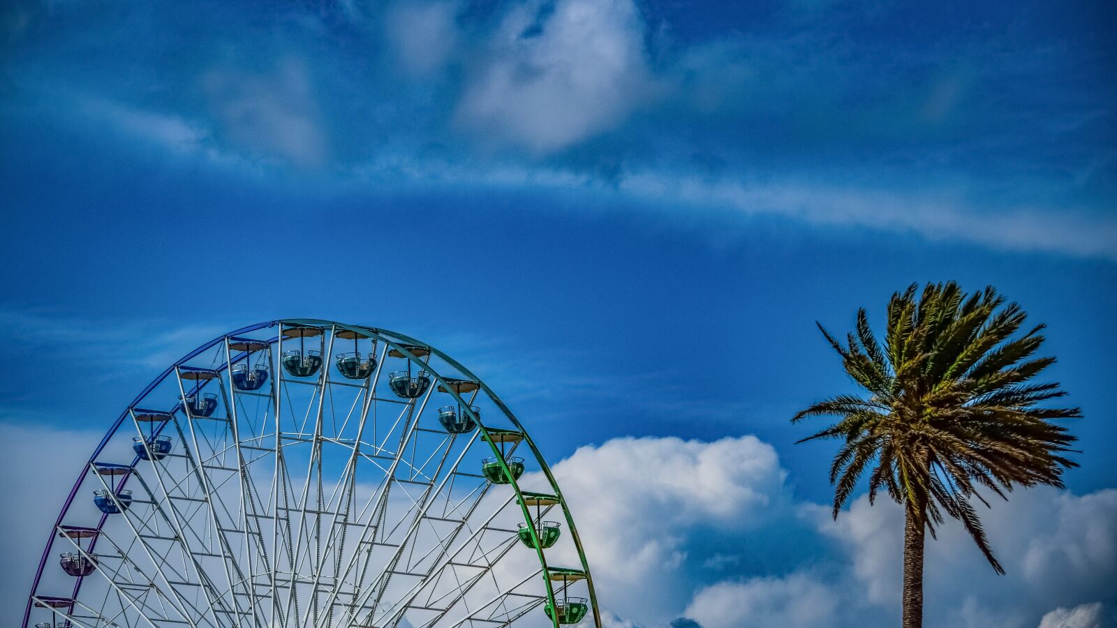 Nikon D3300 sample photo. Wheel, palm tree, luna photography