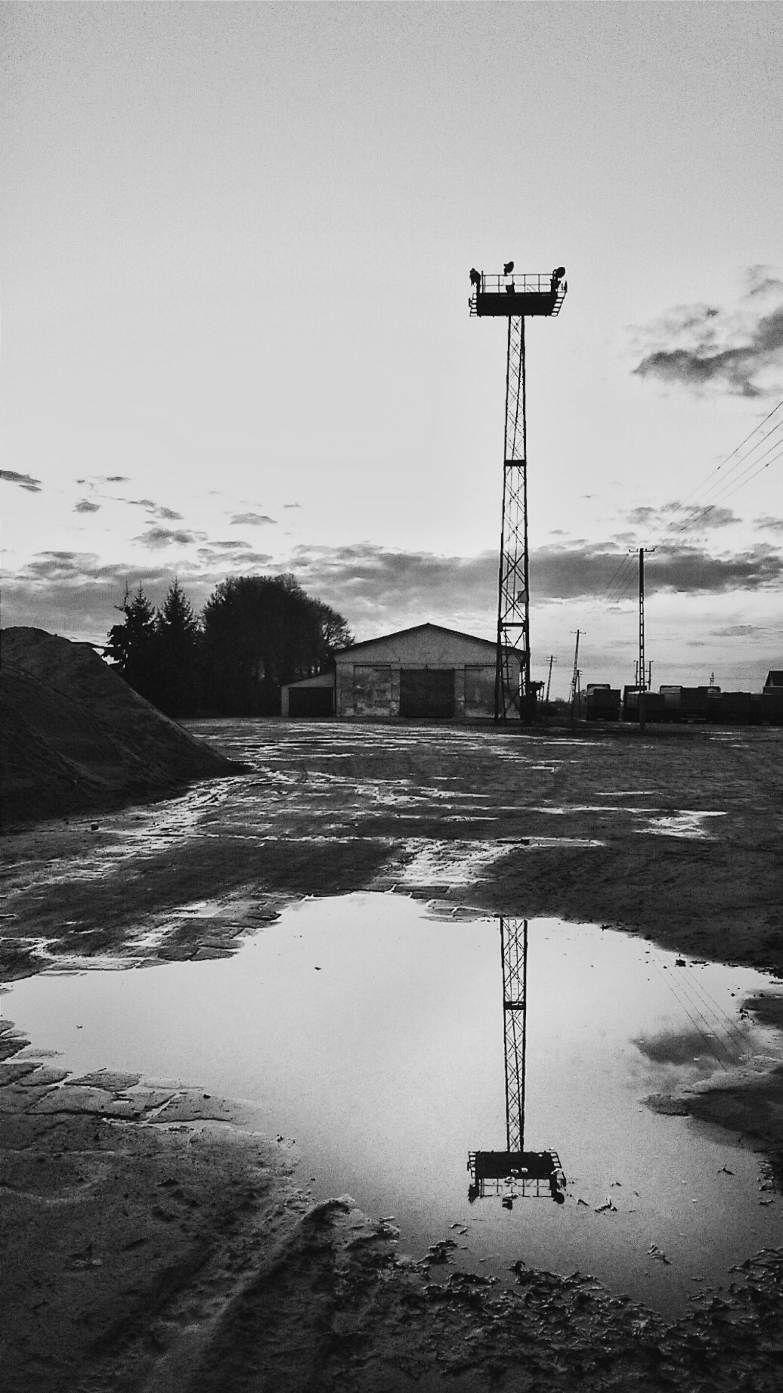 Sony Xperia M2 sample photo. Bw, sony, xperia photography