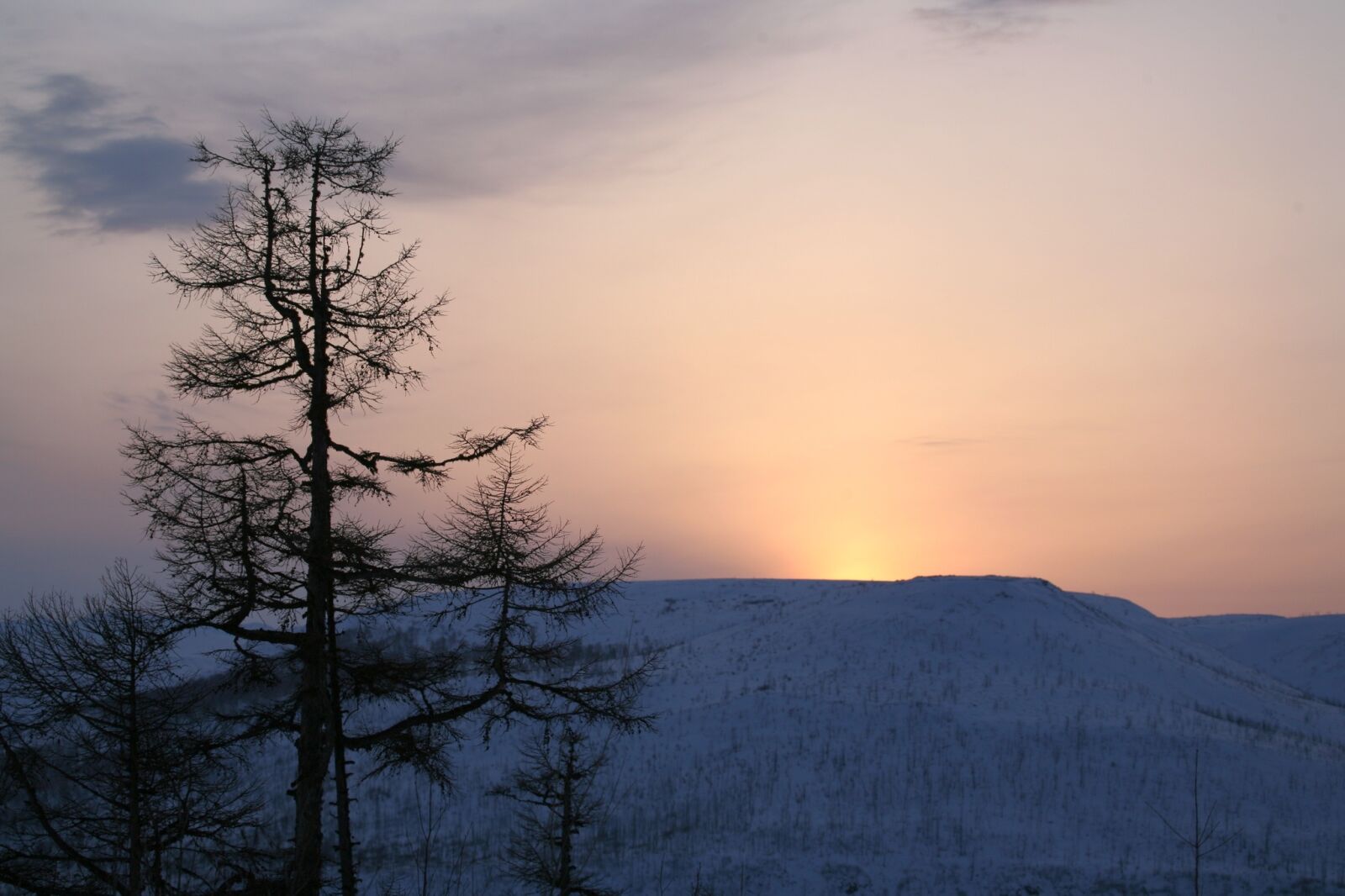 Canon EOS 5D sample photo. Sunset, mountains, larch photography