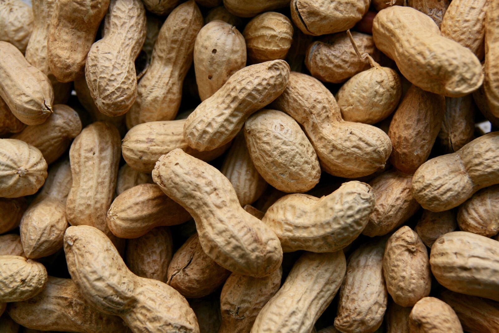 Canon EOS 400D (EOS Digital Rebel XTi / EOS Kiss Digital X) sample photo. Peanuts, nuts, food photography