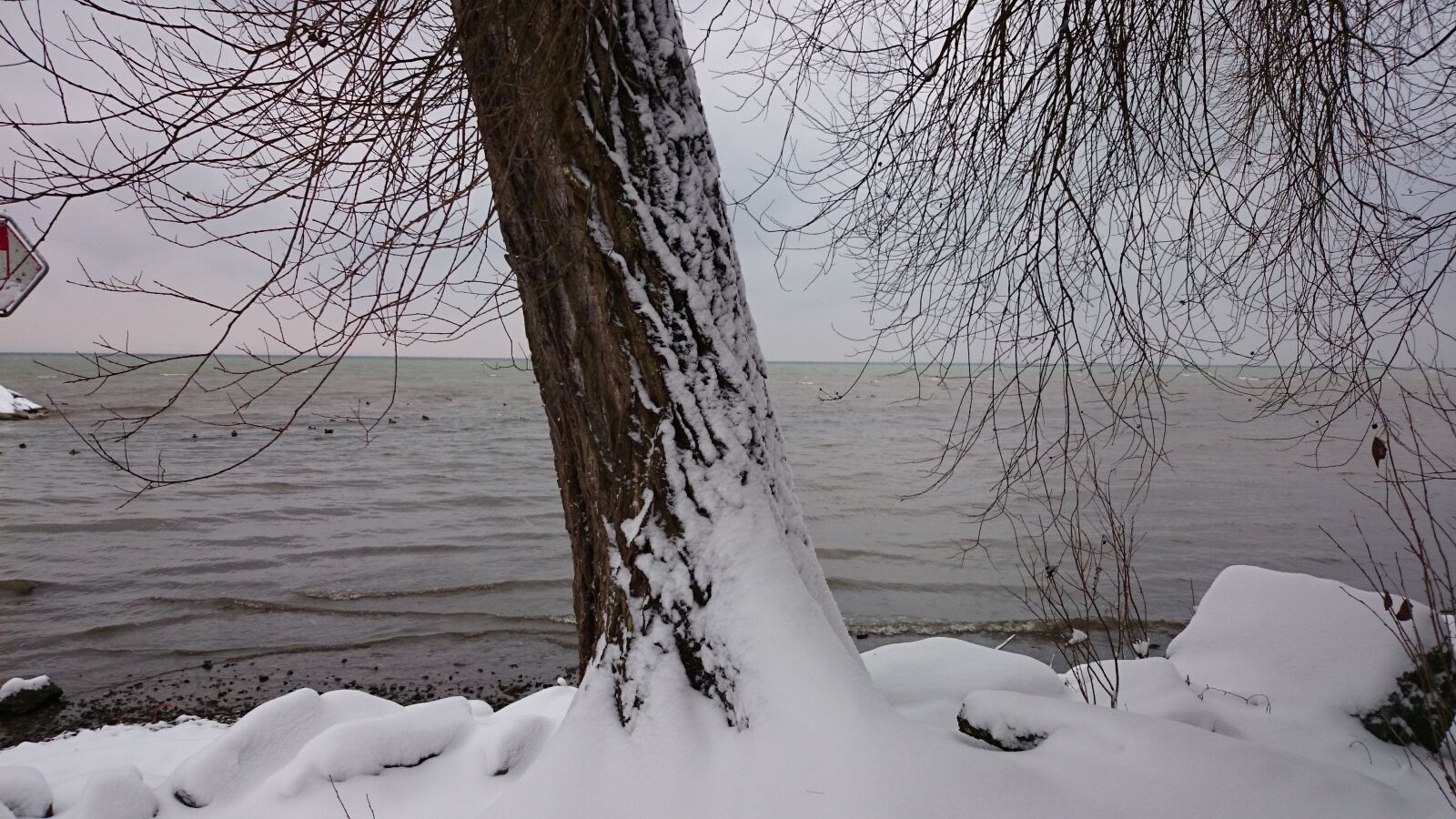 Sony Xperia Z1 Compact sample photo. Winter, tree, snow photography