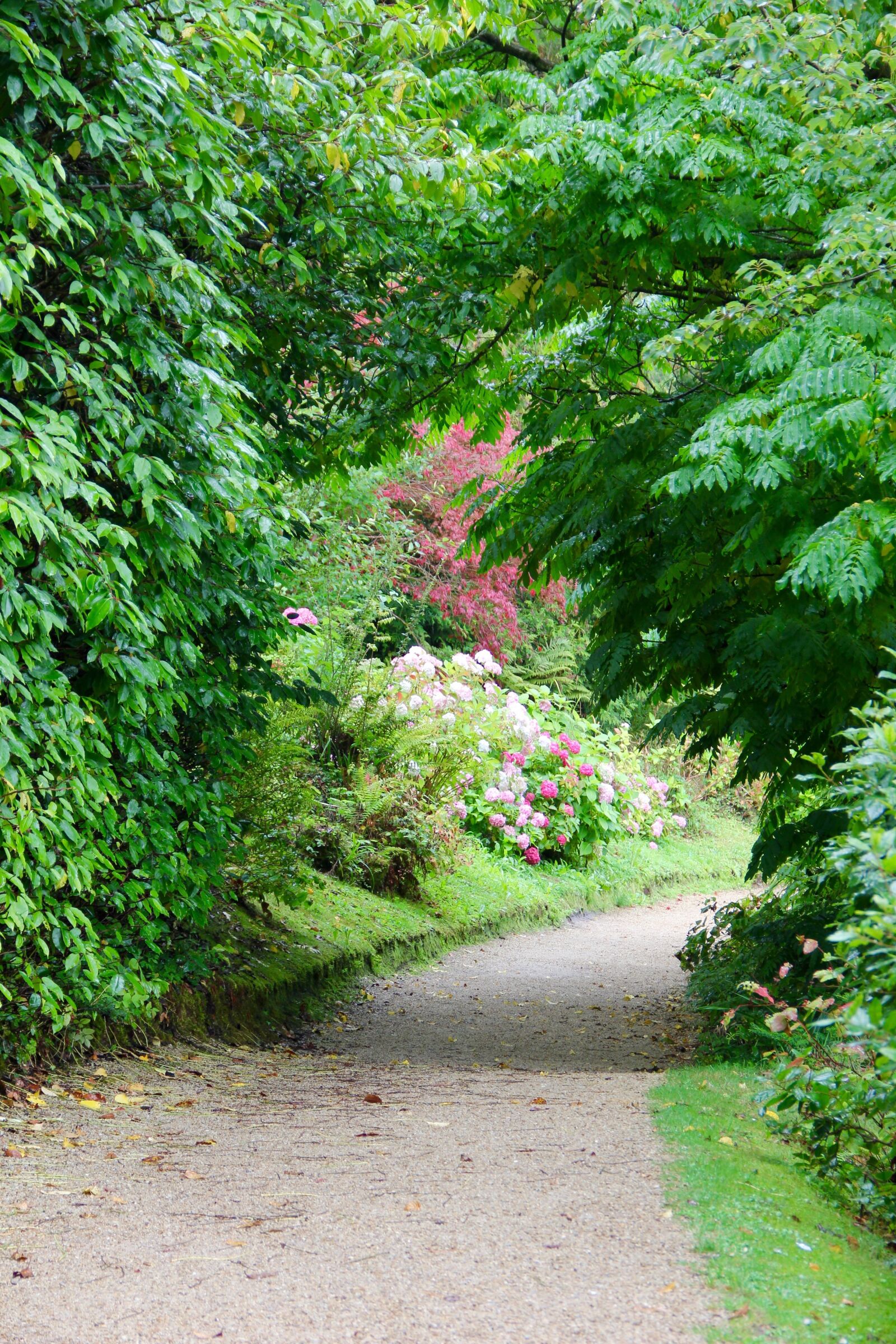 Canon EF-S 18-135mm F3.5-5.6 IS sample photo. Path, walkway, pathway photography