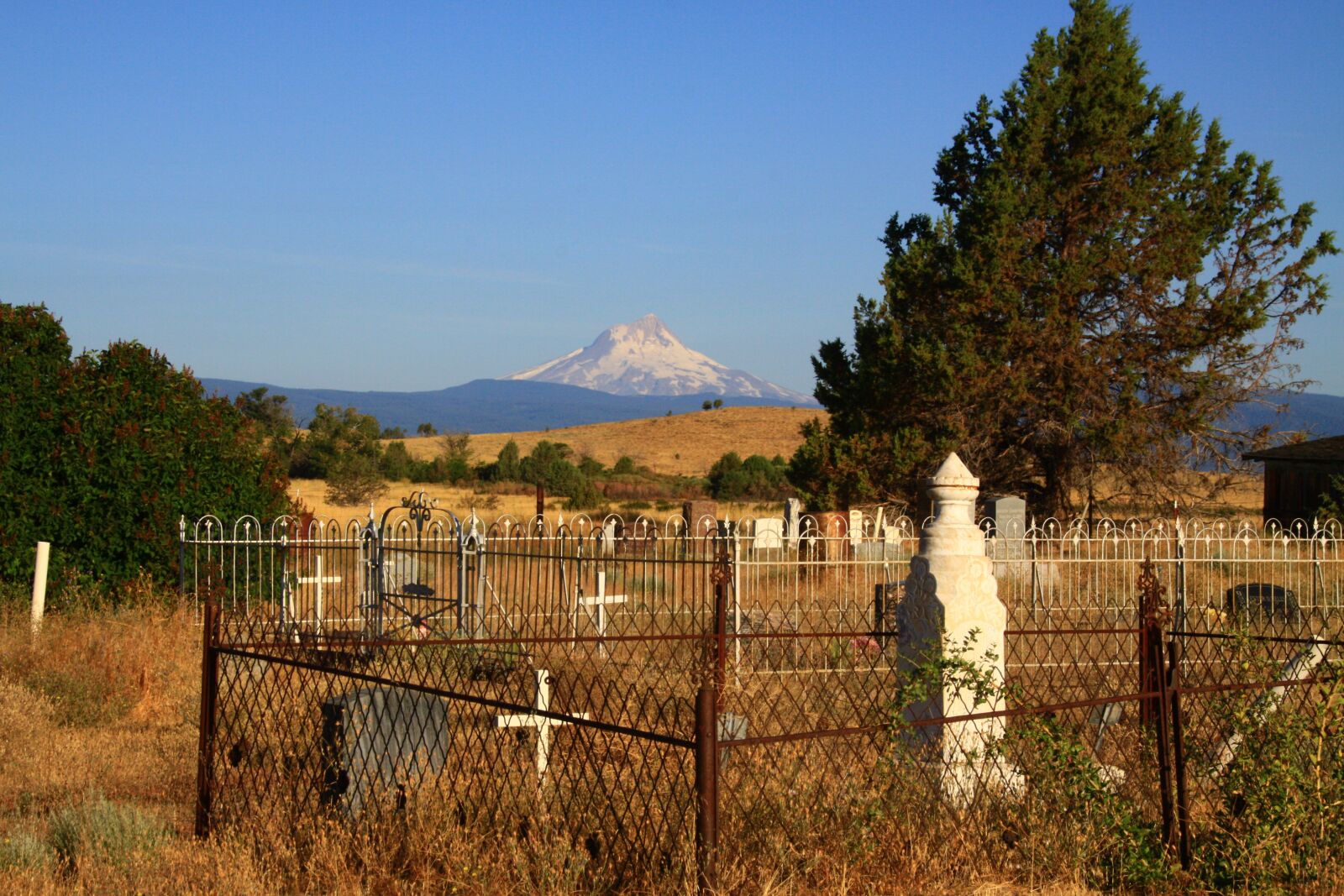 Canon EOS 50D sample photo. Cemetery, haunted, halloween photography