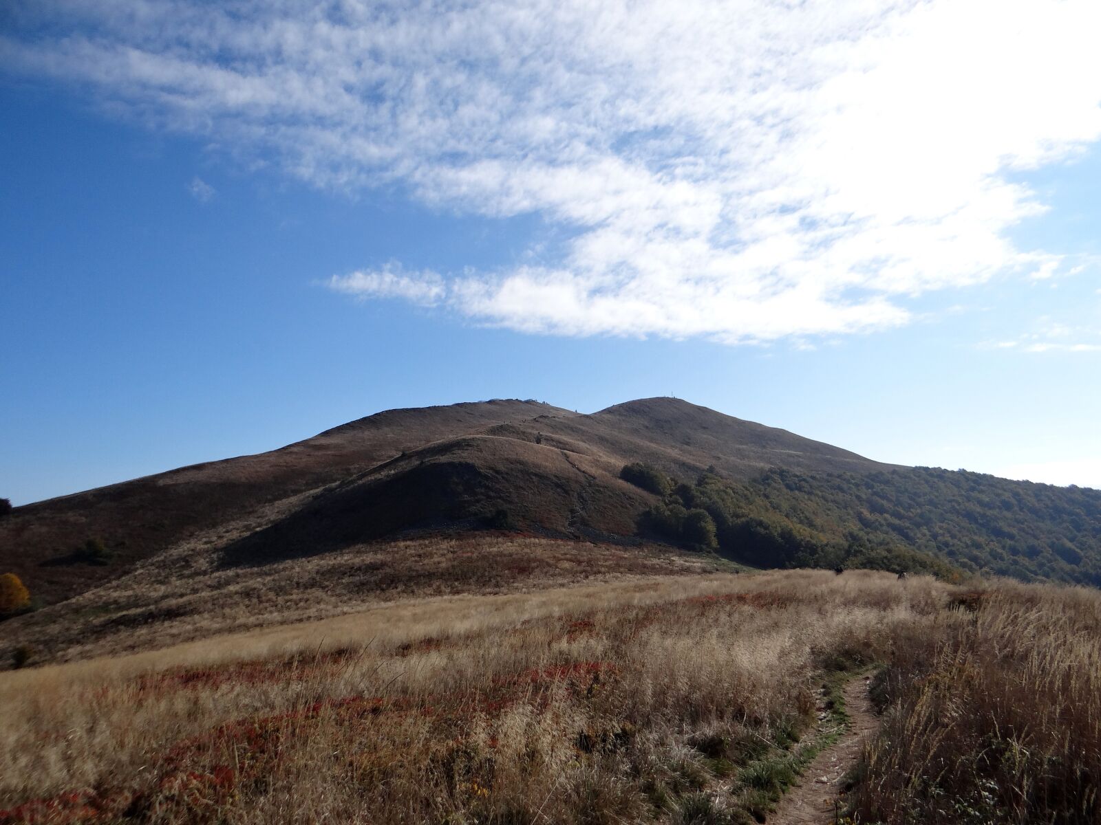 Sony DSC-HX200V sample photo. Bieszczady, on the track photography