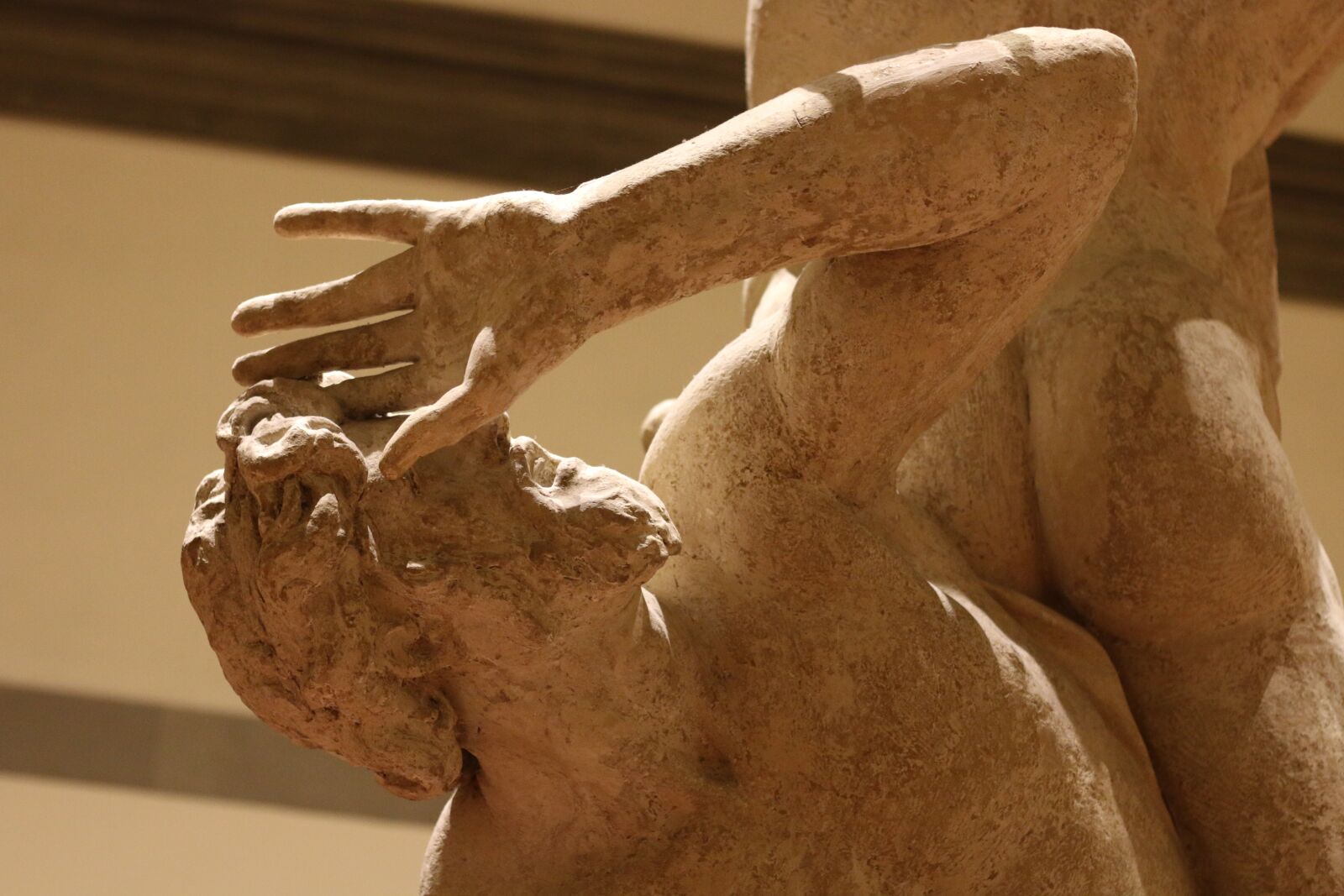Canon EOS 70D + Canon EF 50mm F1.8 STM sample photo. Statue, scared, close up photography