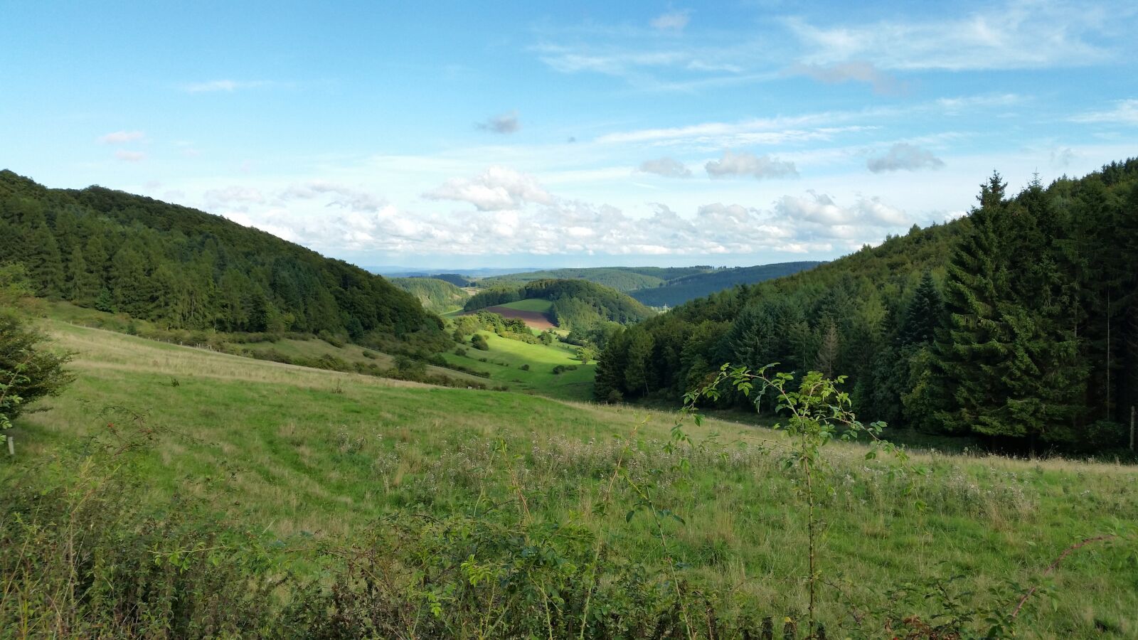 Samsung Galaxy S5 sample photo. Willingen, germany, nature photography