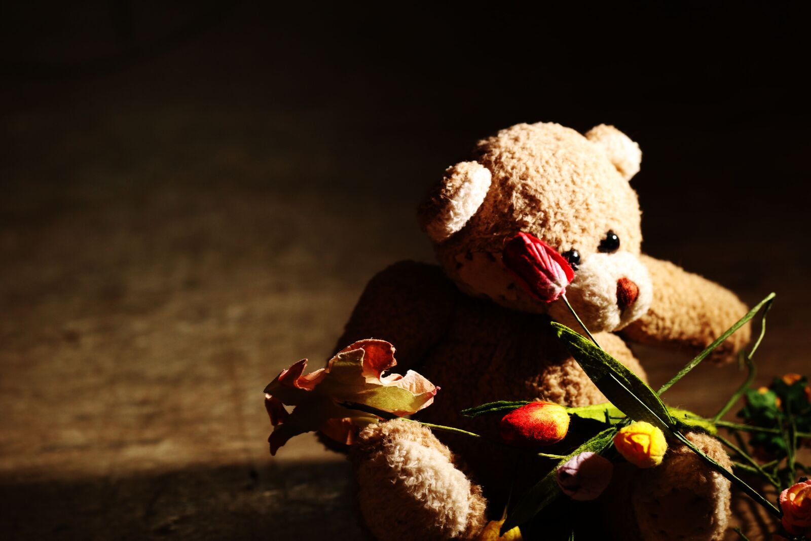 Canon EOS 7D Mark II sample photo. Teddybear, flowers, miniature photography