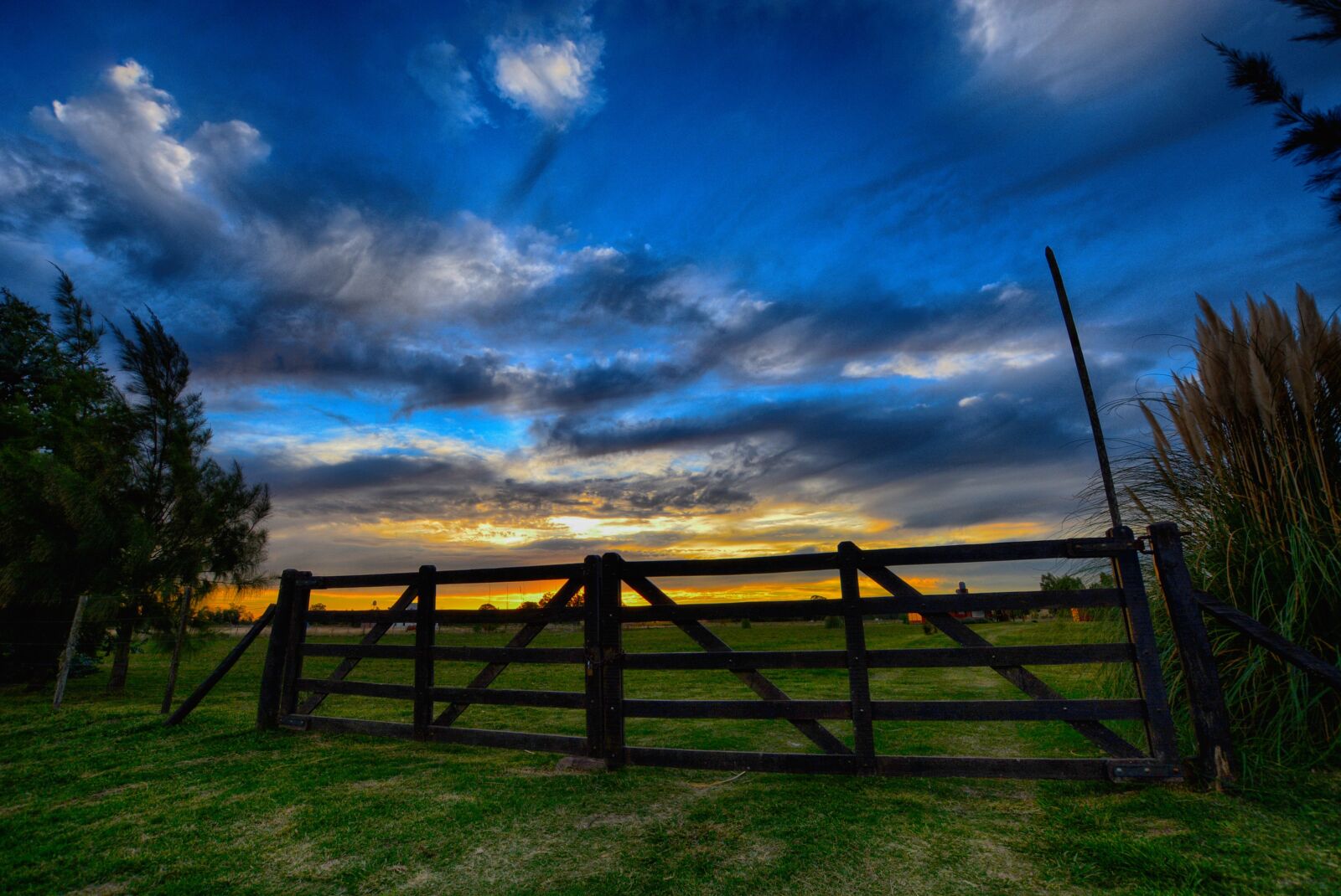 Nikon D5200 sample photo. Sky, lawn, nature photography