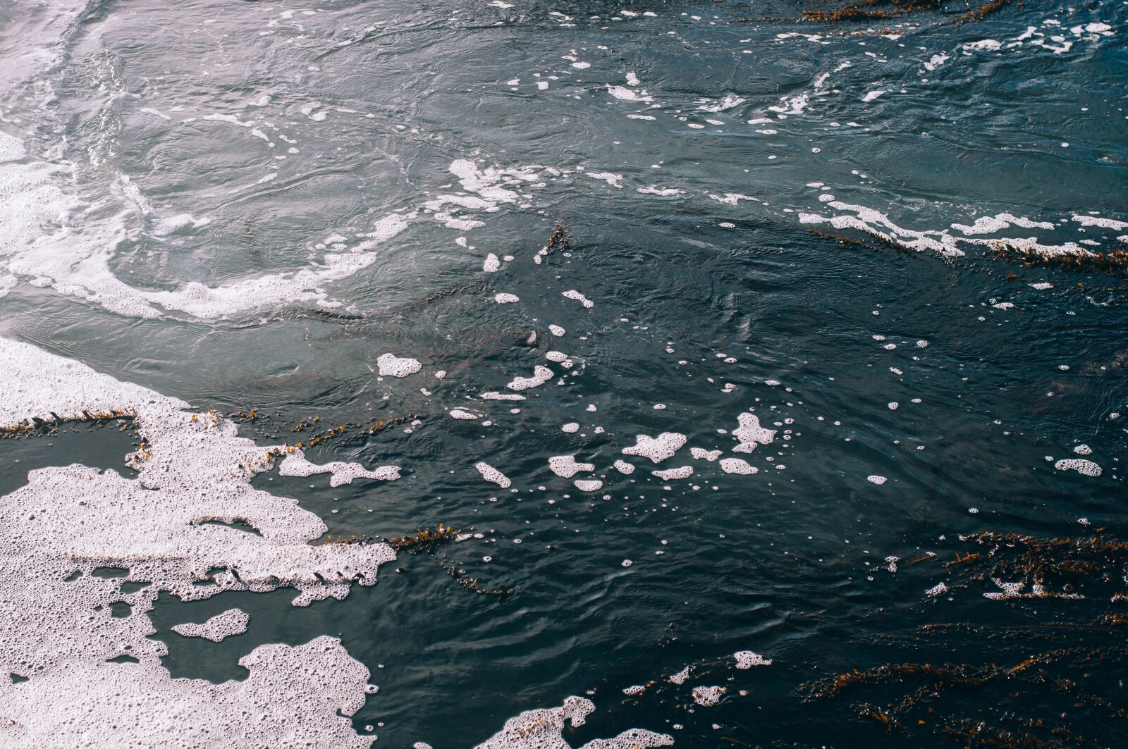 Nikon D5000 sample photo. Nature, water, ocean photography