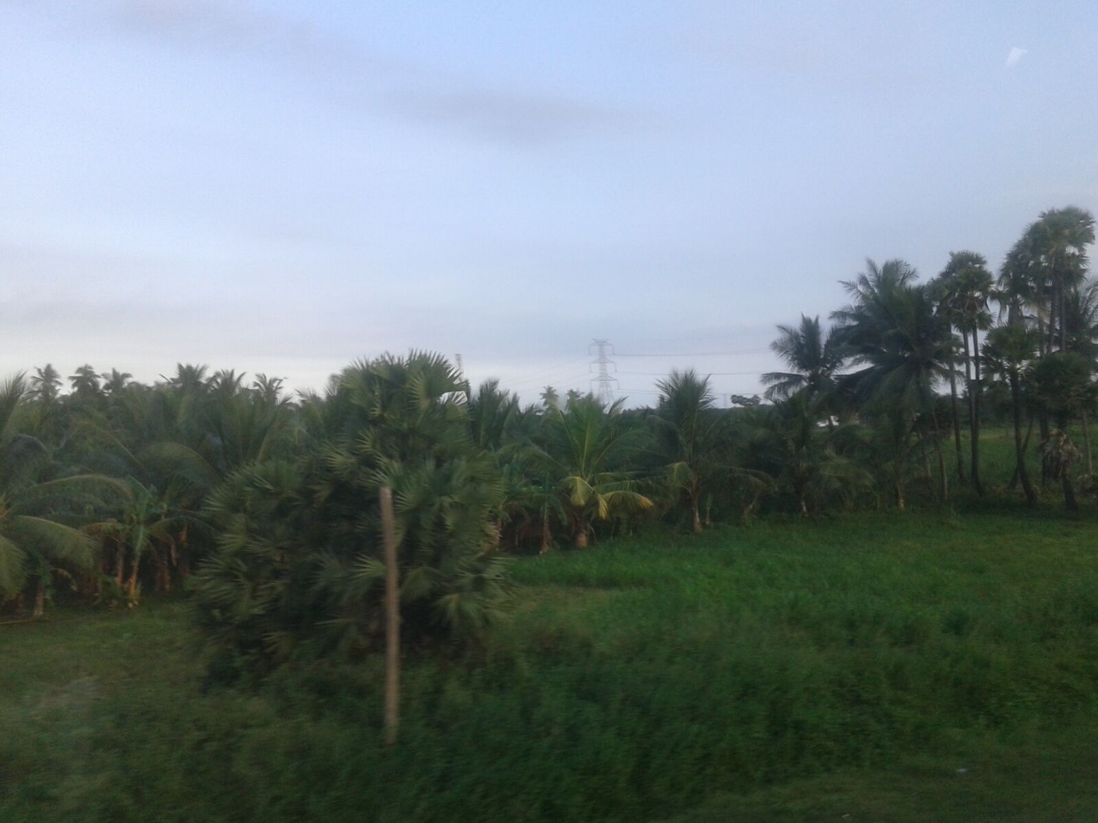 Samsung Galaxy Core sample photo