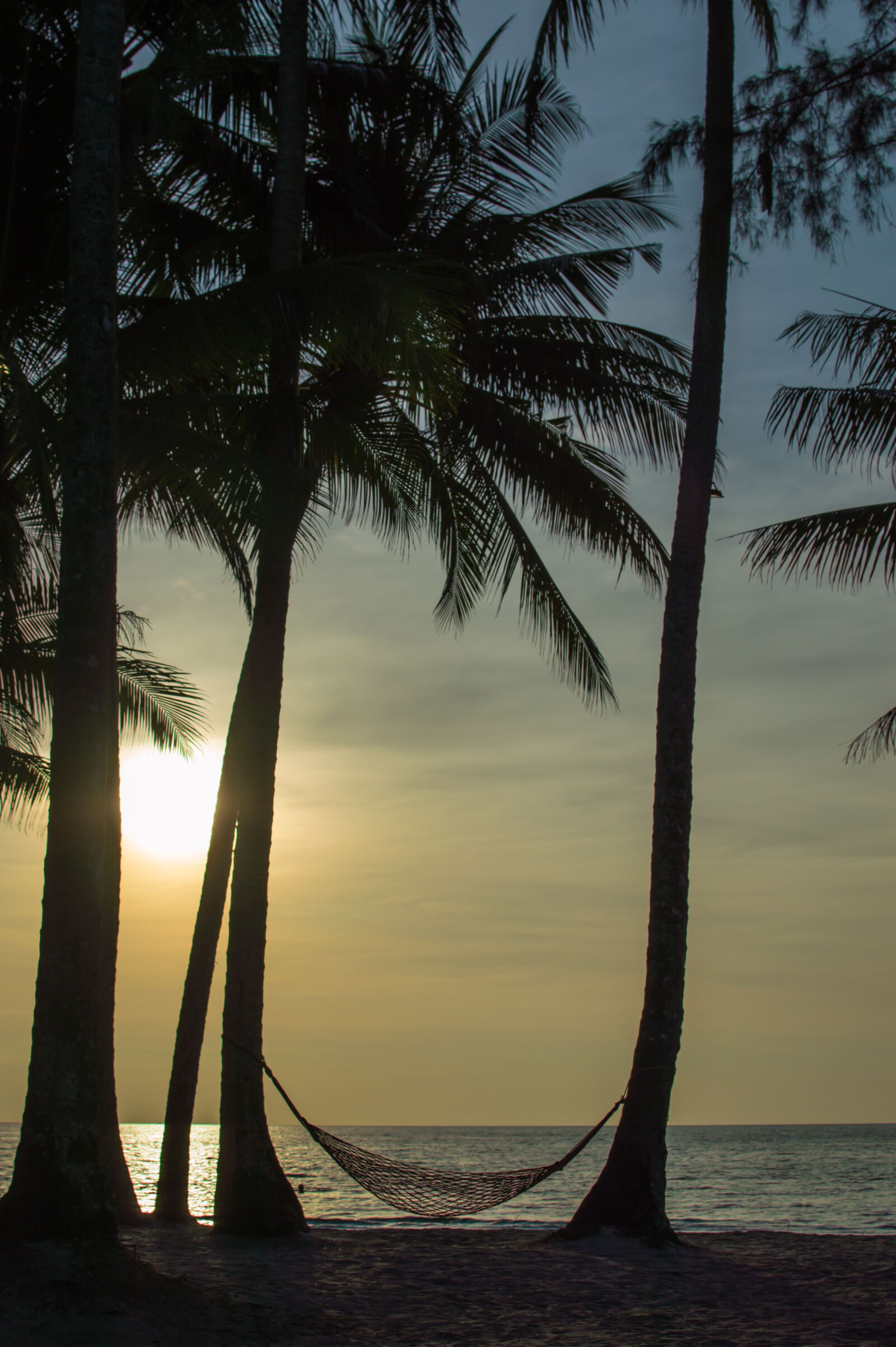 Nikon AF-S DX Nikkor 35mm F1.8G sample photo. Beach, coconut, tree, hammocks photography