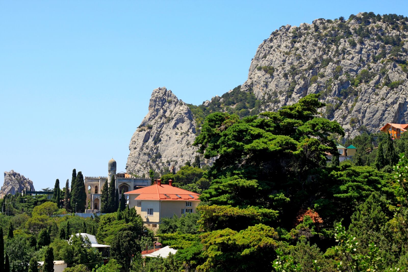 Canon EOS 500D (EOS Rebel T1i / EOS Kiss X3) sample photo. Crimea, simeiz, mountain cat photography
