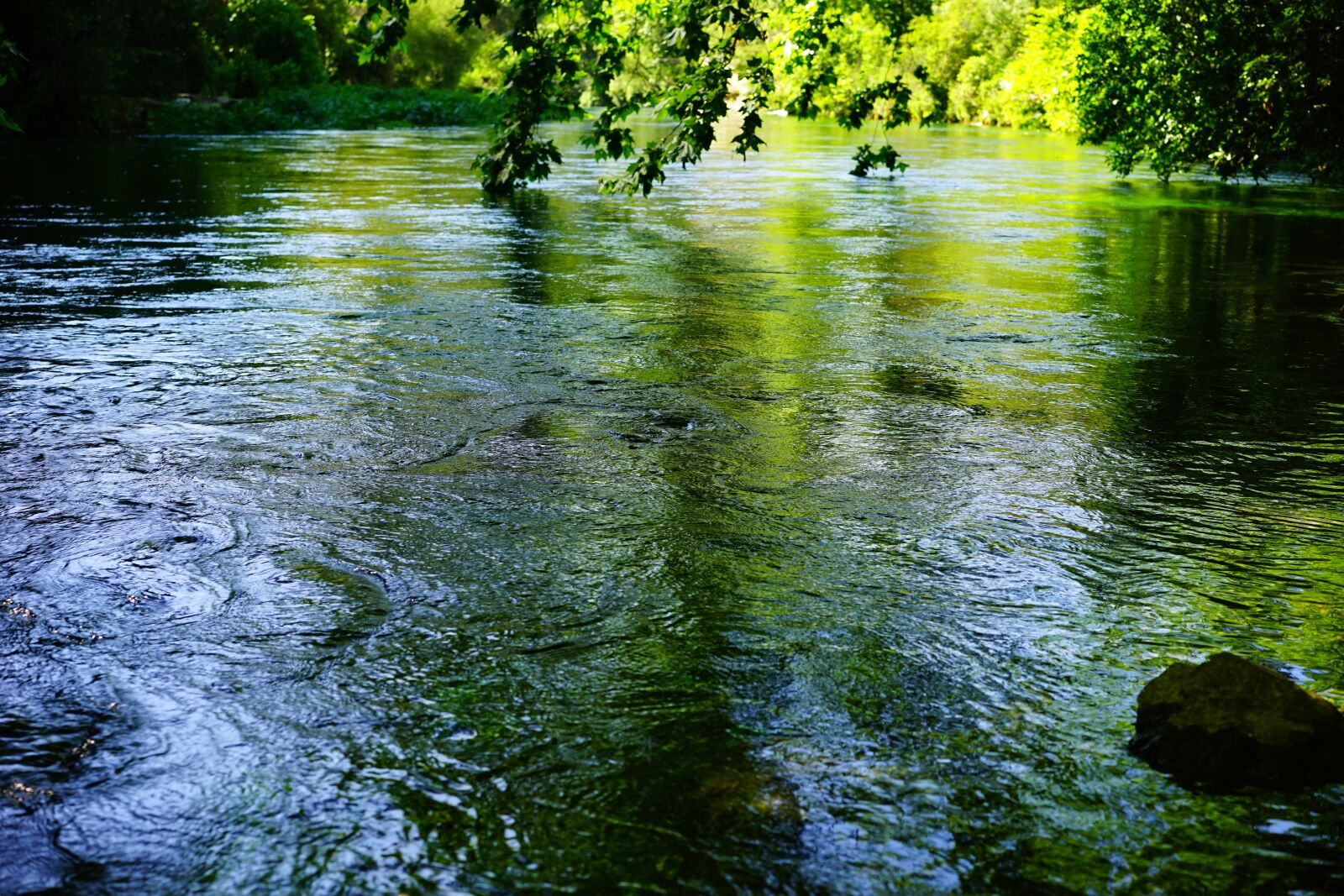 Sony a7 + Sony Sonnar T* FE 55mm F1.8 ZA sample photo. Sorgue, water, clear photography