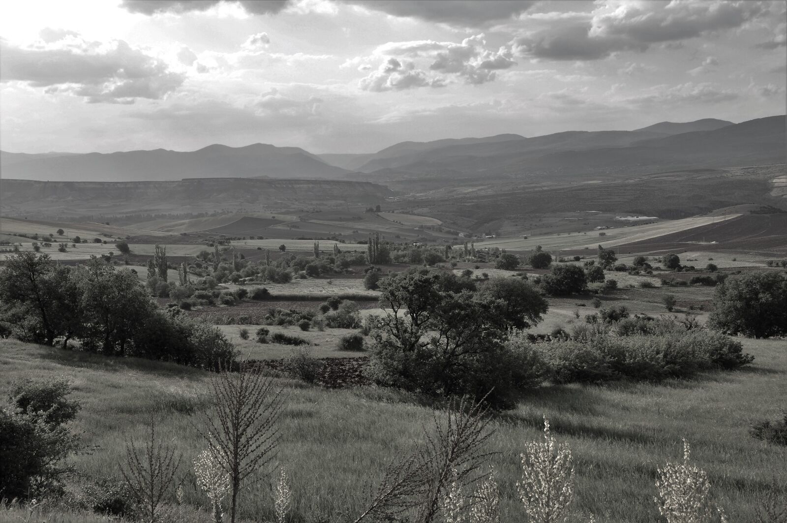 Nikon D90 sample photo. Nature, landscape, rural photography
