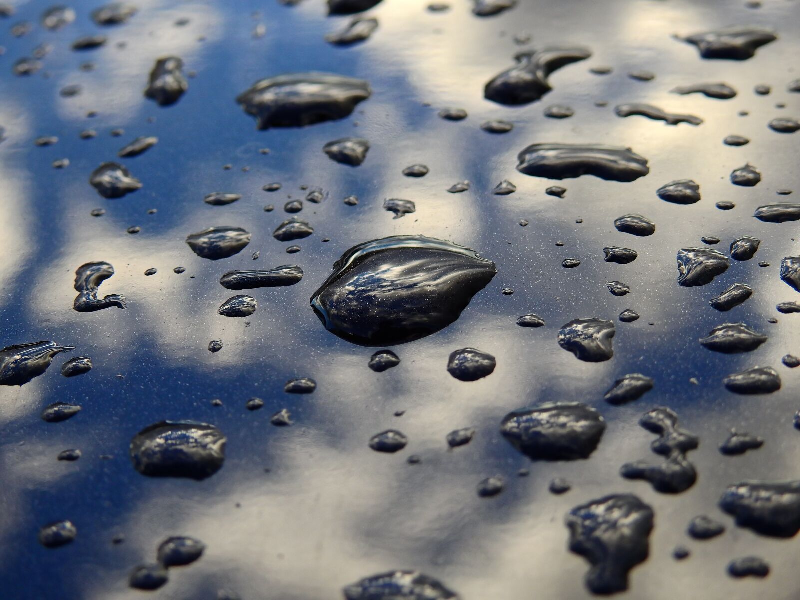 Nikon Coolpix P900 sample photo. Water, drip, drop of photography