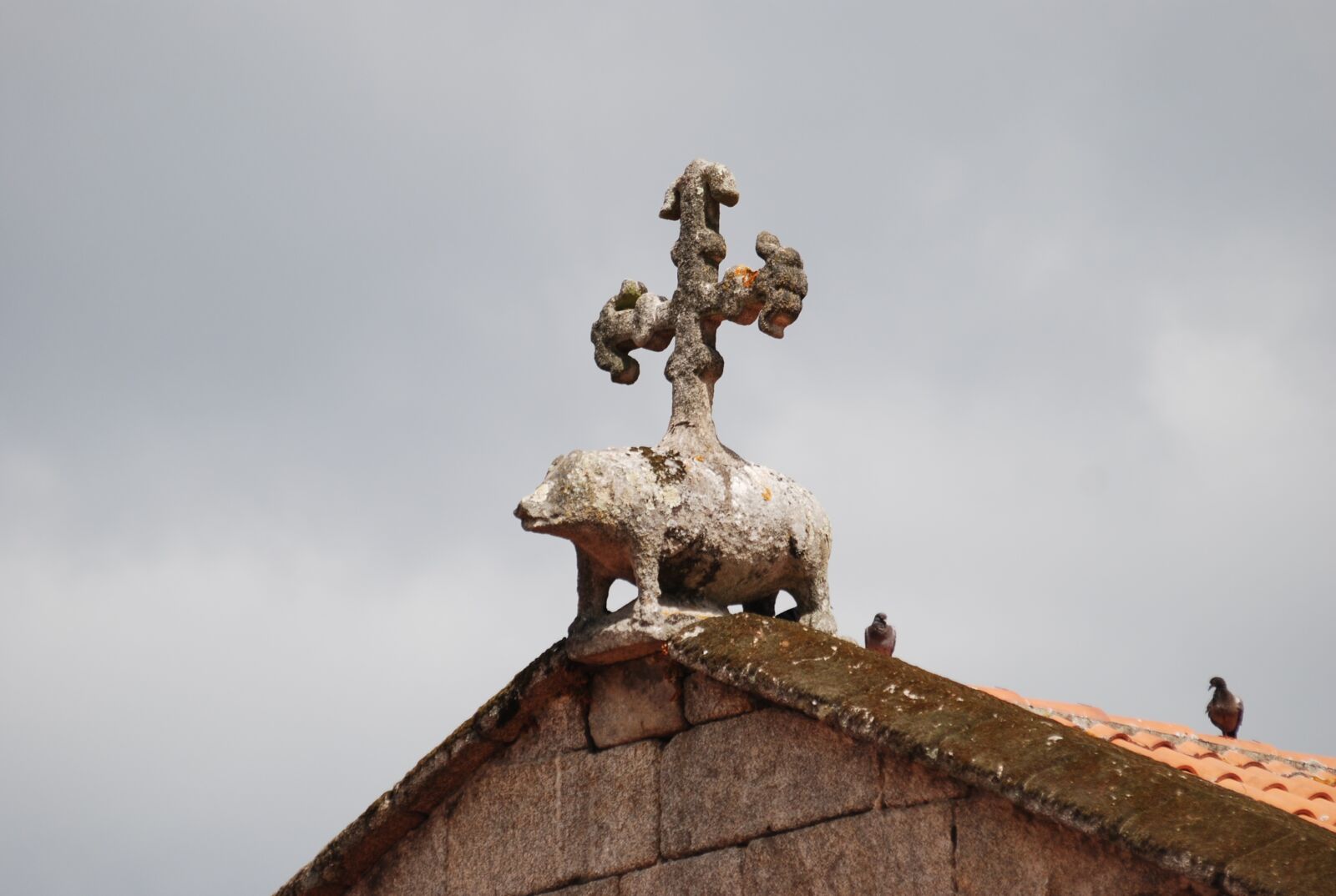 Nikon D80 sample photo. Cruz, church, little pig photography