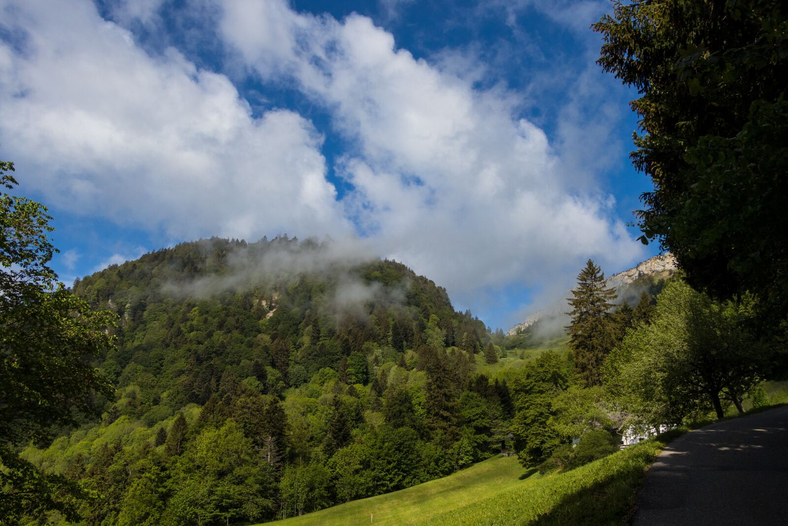 Canon EOS R sample photo. Bettlach floor, jura, mountains photography