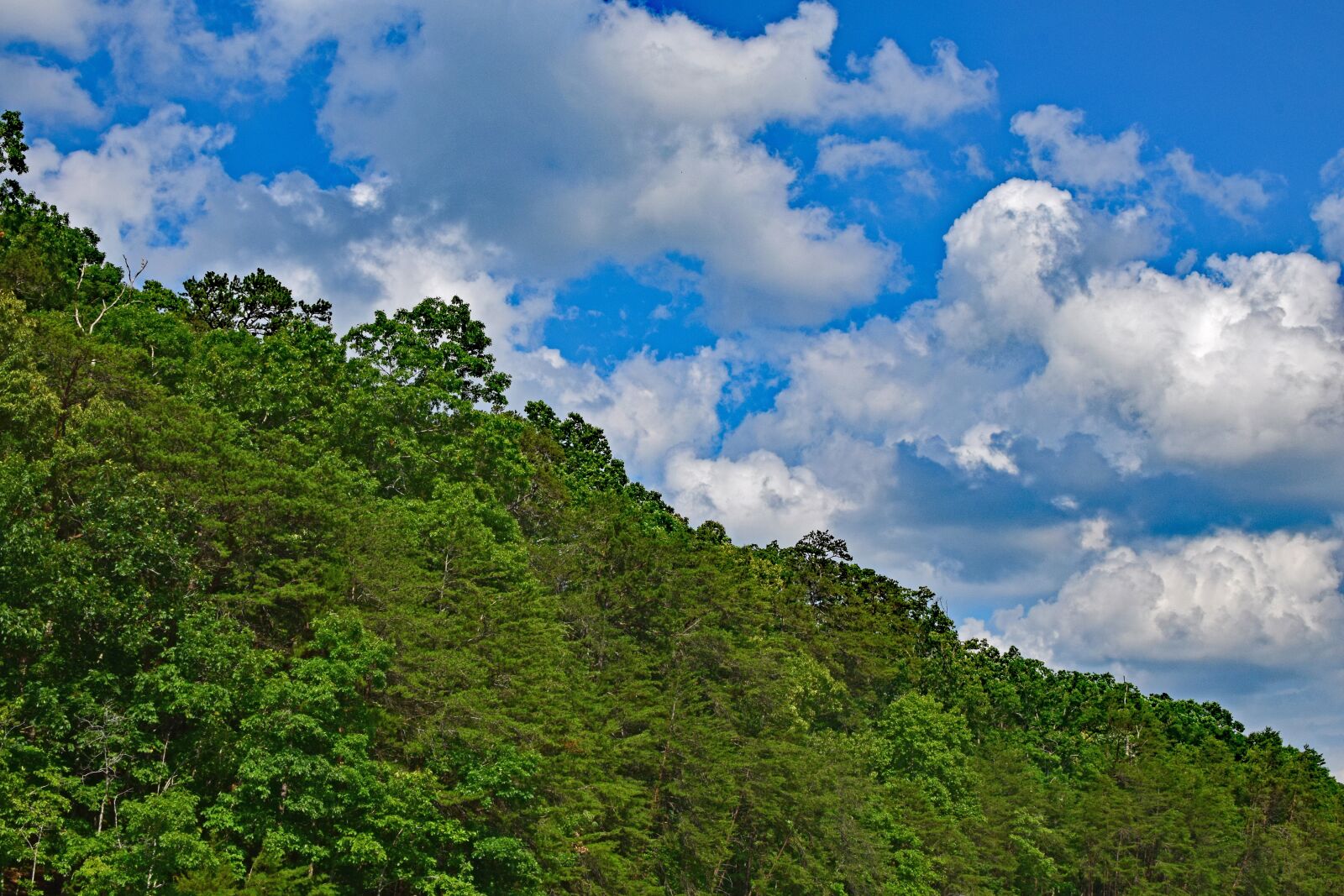 Nikon D3300 sample photo. Cumulus clouds over the photography