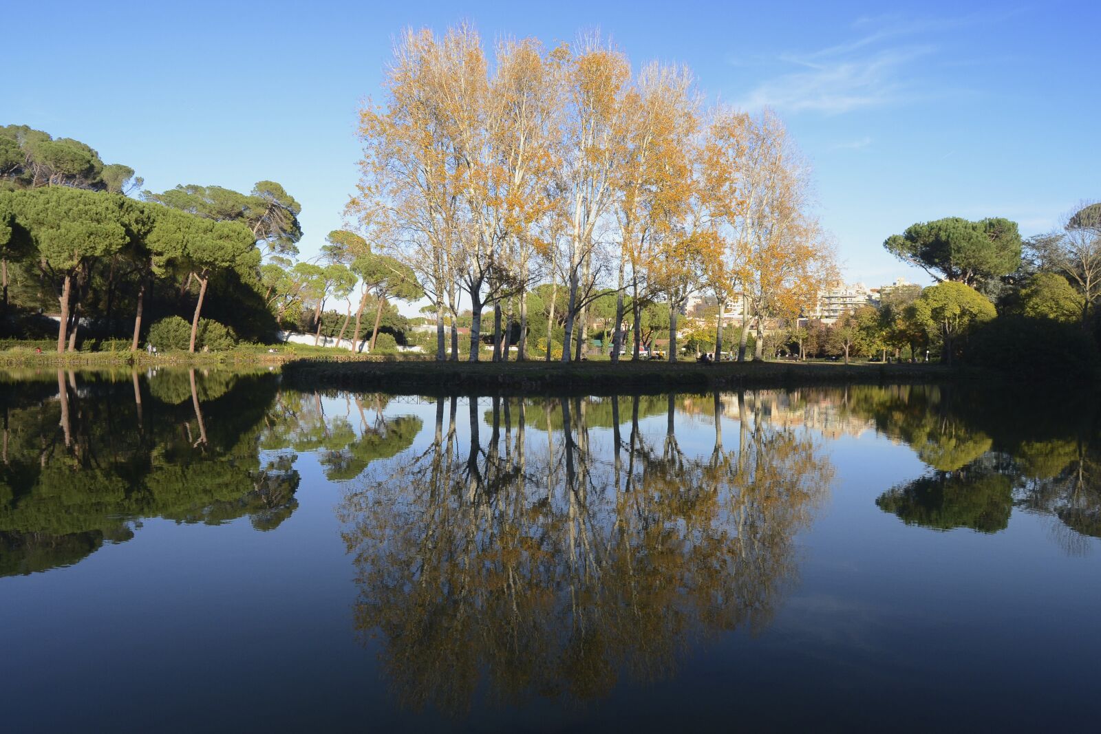 Nikon D3100 sample photo. Rome, villa ada, lake photography