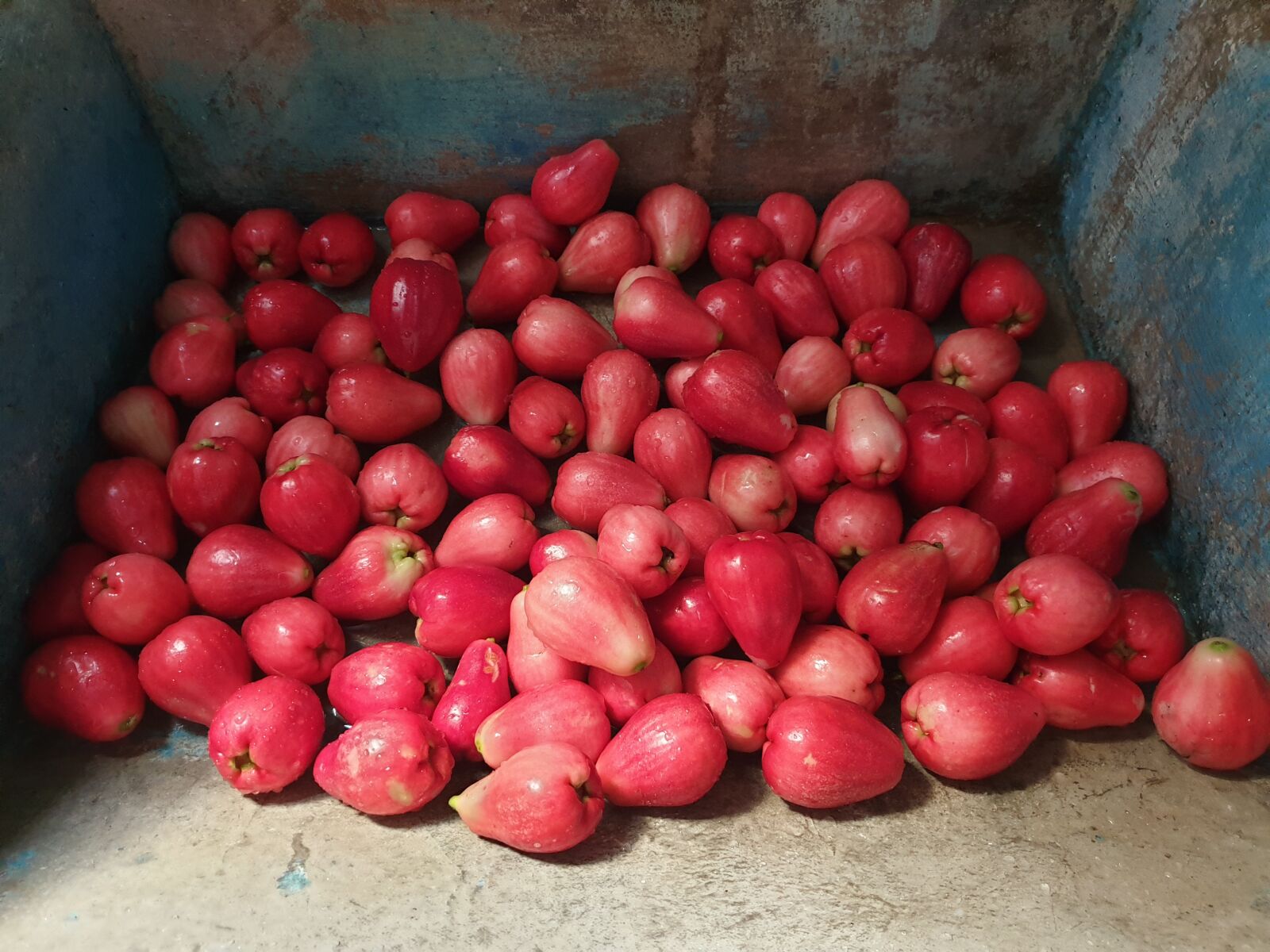 Samsung SM-G965F sample photo. Water apple, fruit, healthy photography