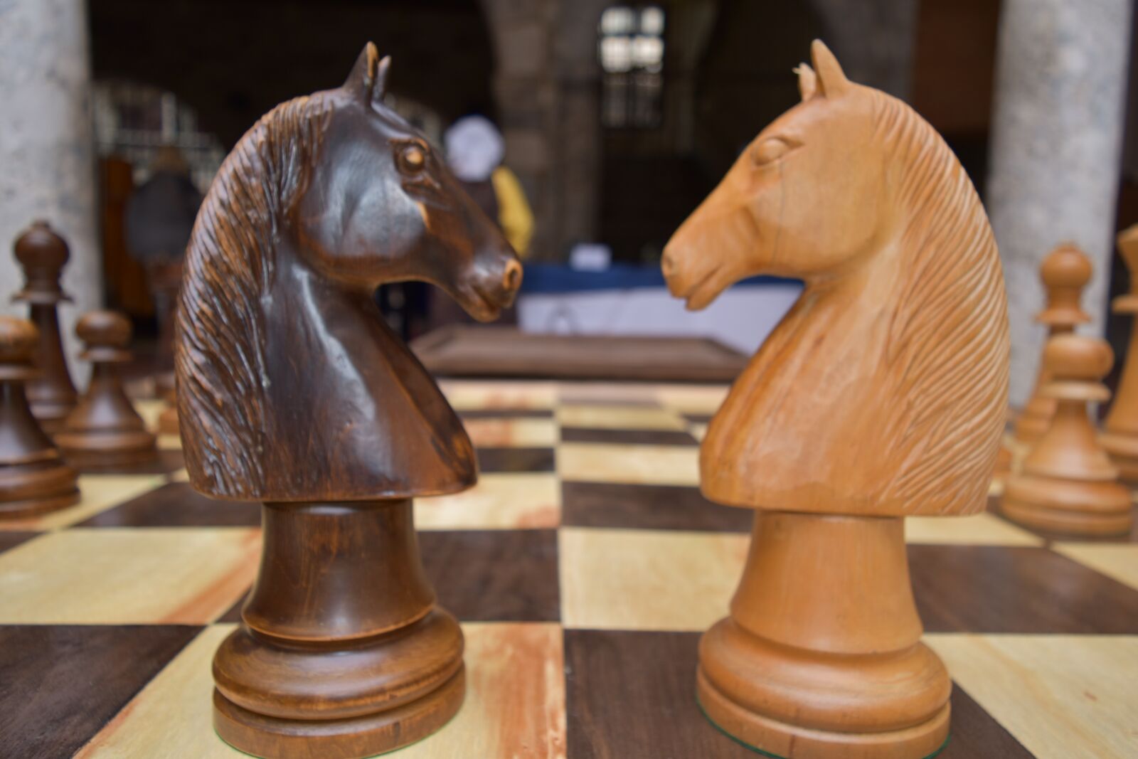 Nikon D5500 sample photo. Horse, games, chess photography