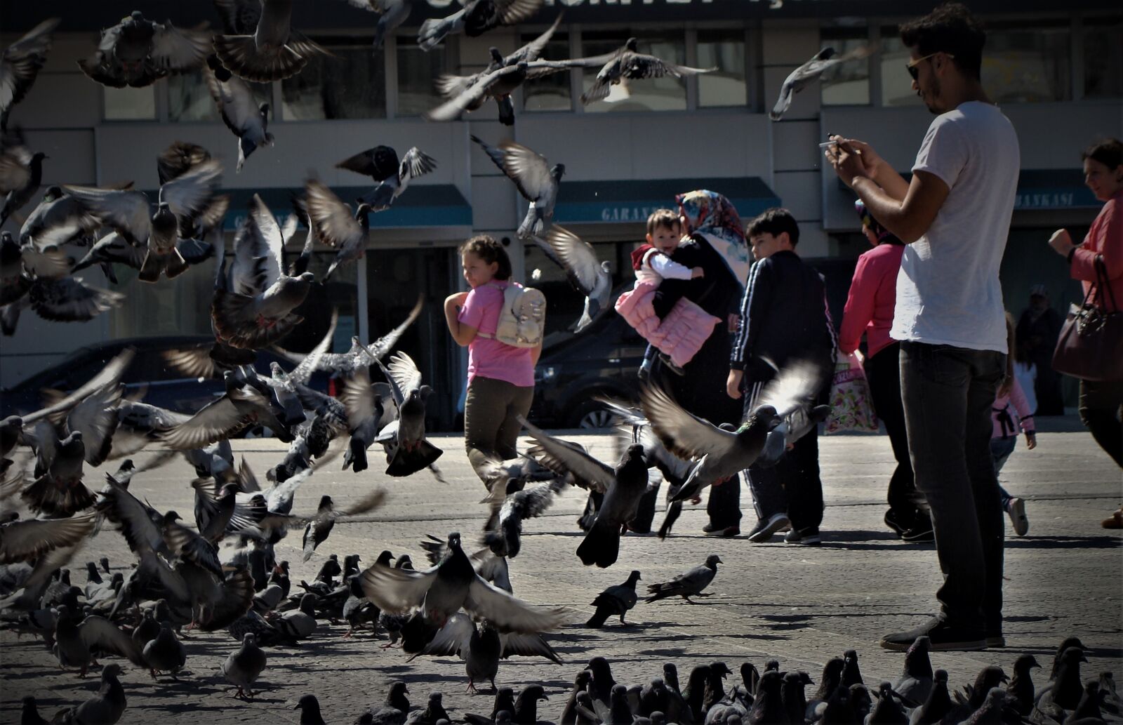 Sony DSC-H9 sample photo. Pigeon, dove, bird photography