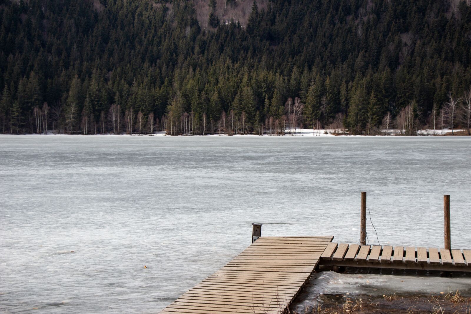Canon EOS 100D (EOS Rebel SL1 / EOS Kiss X7) sample photo. Lake sf nta ana photography