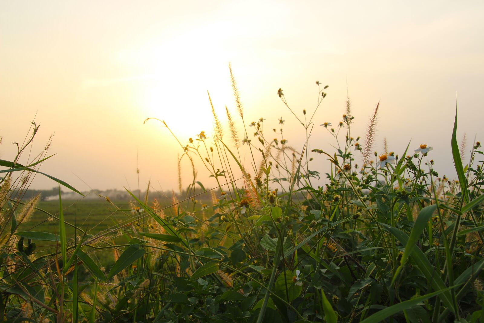 Canon EOS 600D (Rebel EOS T3i / EOS Kiss X5) sample photo. Sunset, sky, sunrise photography