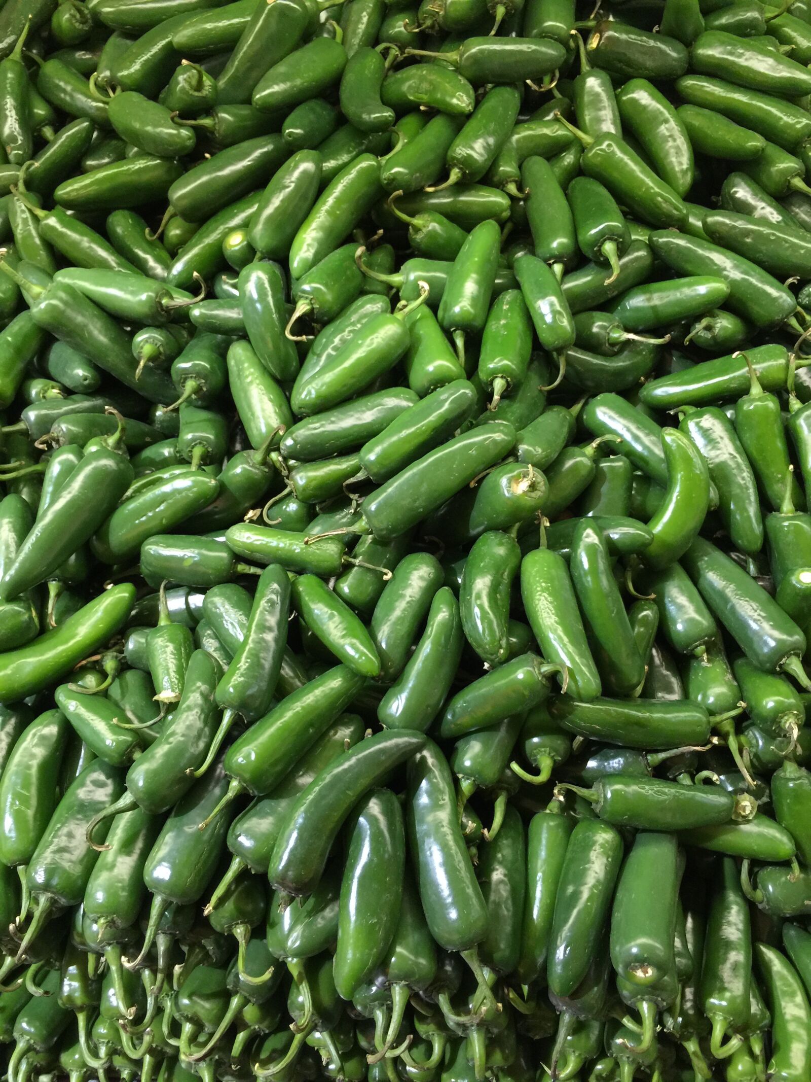 iPhone 6 Plus back camera 4.15mm f/2.2 sample photo. Vegetables, peppers, chilis photography