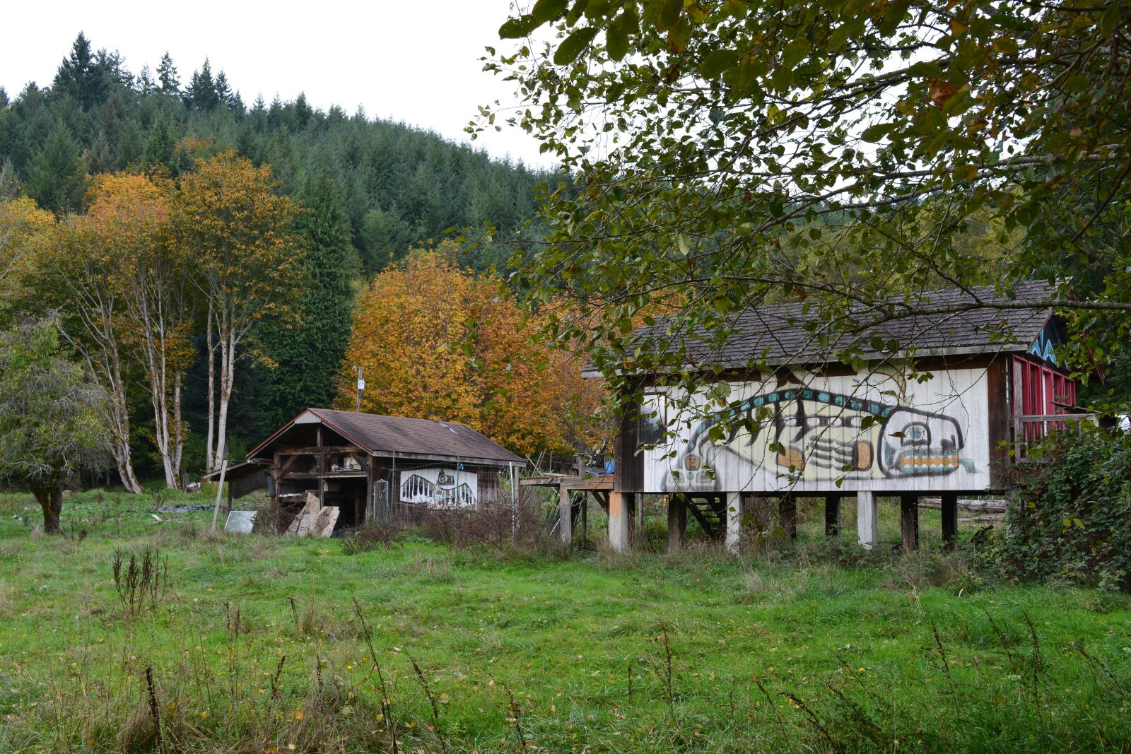 Nikon D5200 sample photo. Lillywaup, painted house, native photography