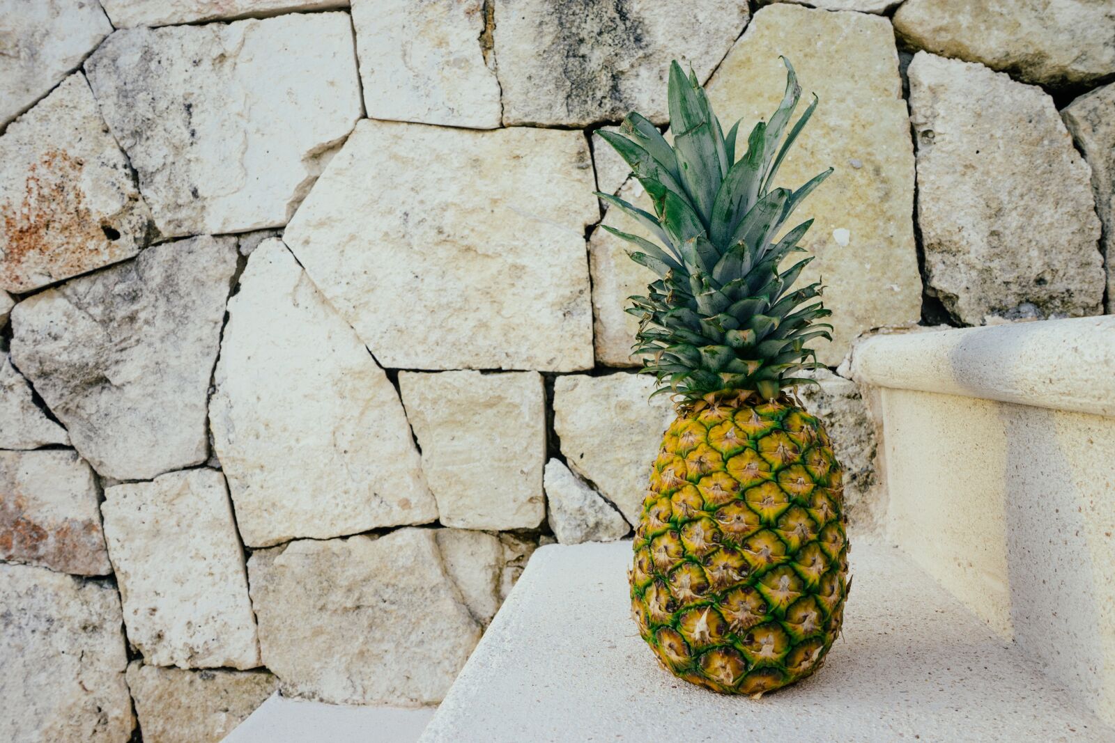 Sony a7 II + Sony FE 28-70mm F3.5-5.6 OSS sample photo. Fruit, golden, pineapple photography