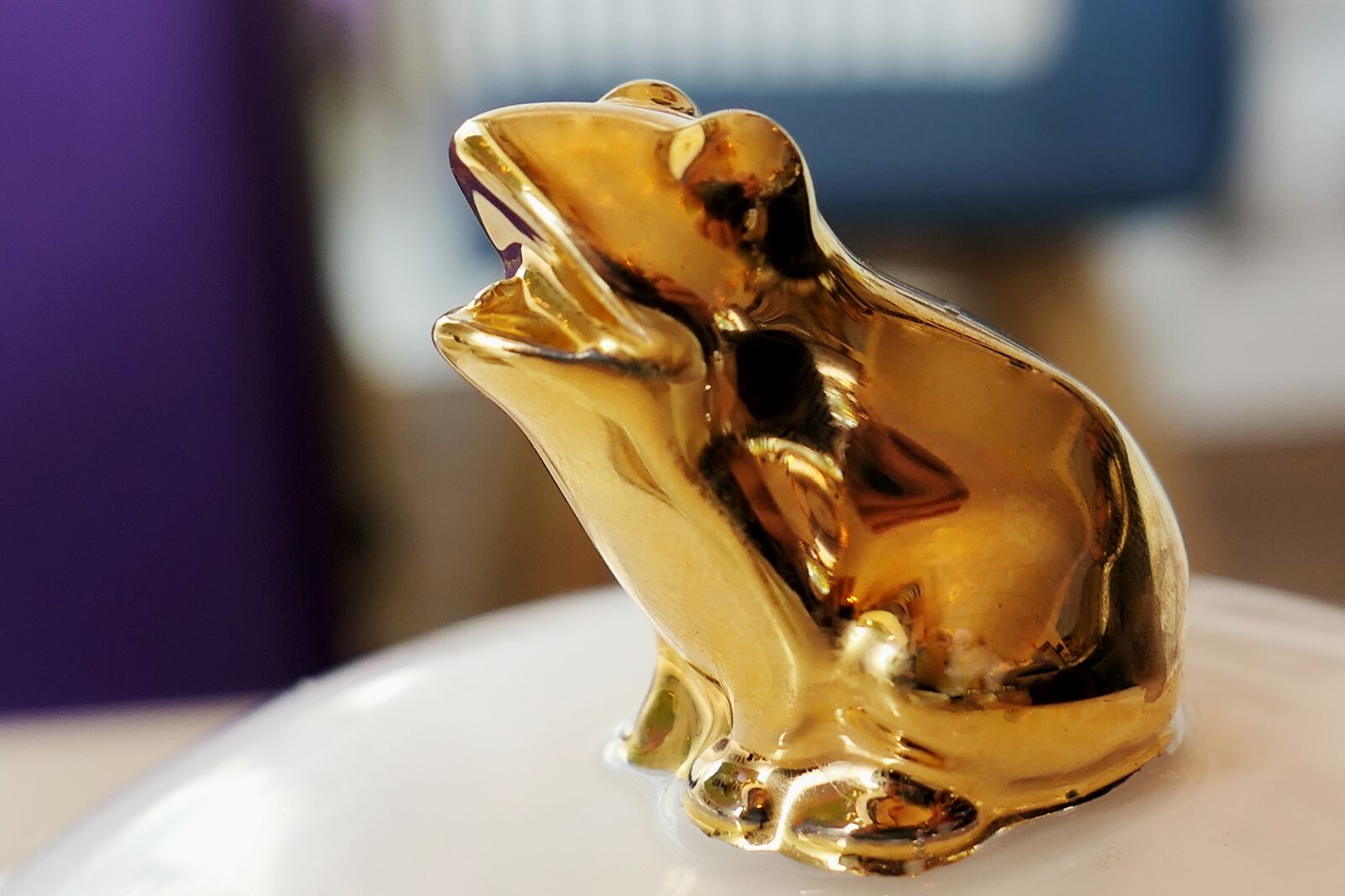 Panasonic Lumix DMC-LX10 (Lumix DMC-LX15) sample photo. Frog prince, fairy tales photography
