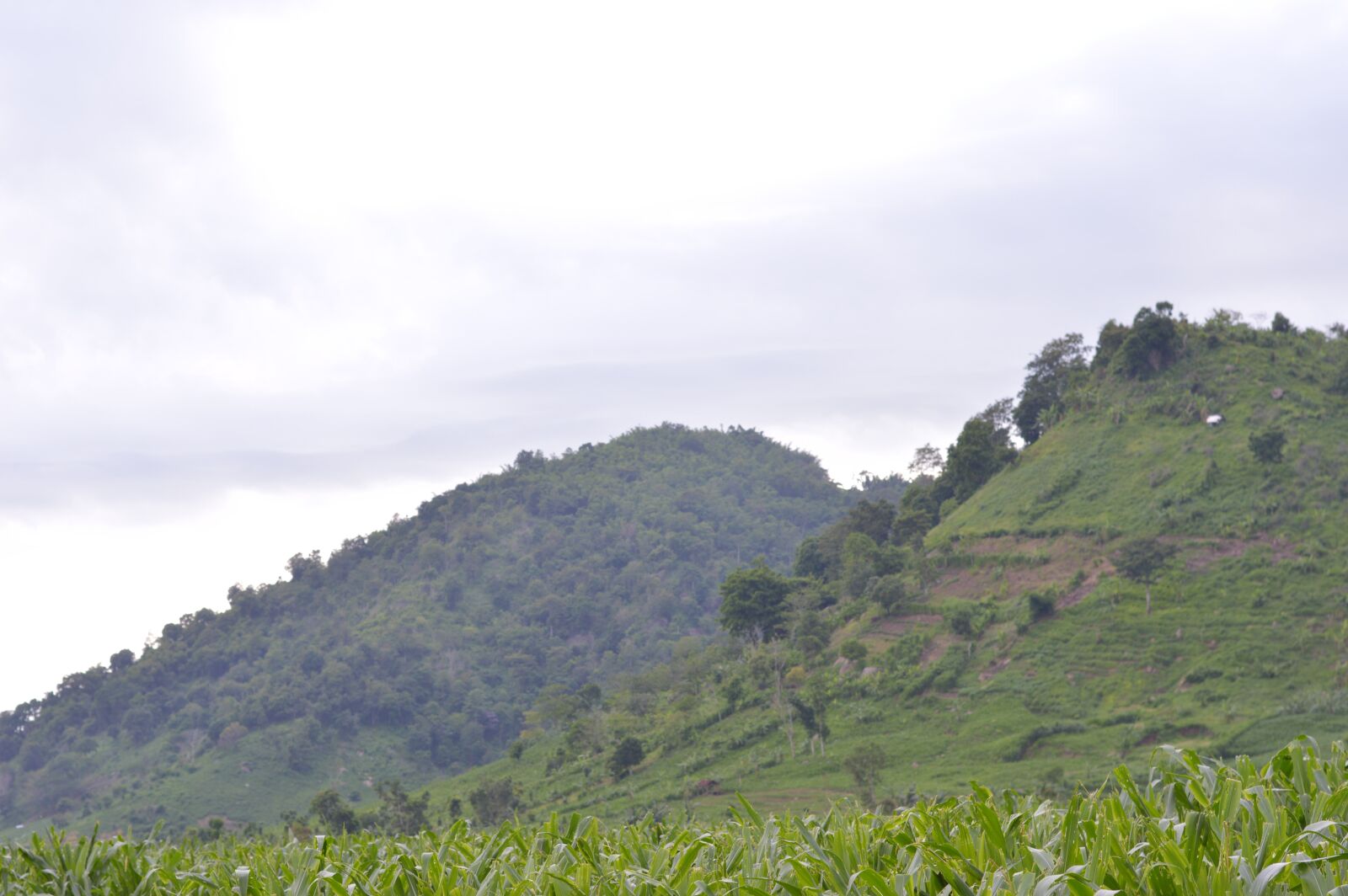 Nikon D3200 sample photo. View, nature, hill photography