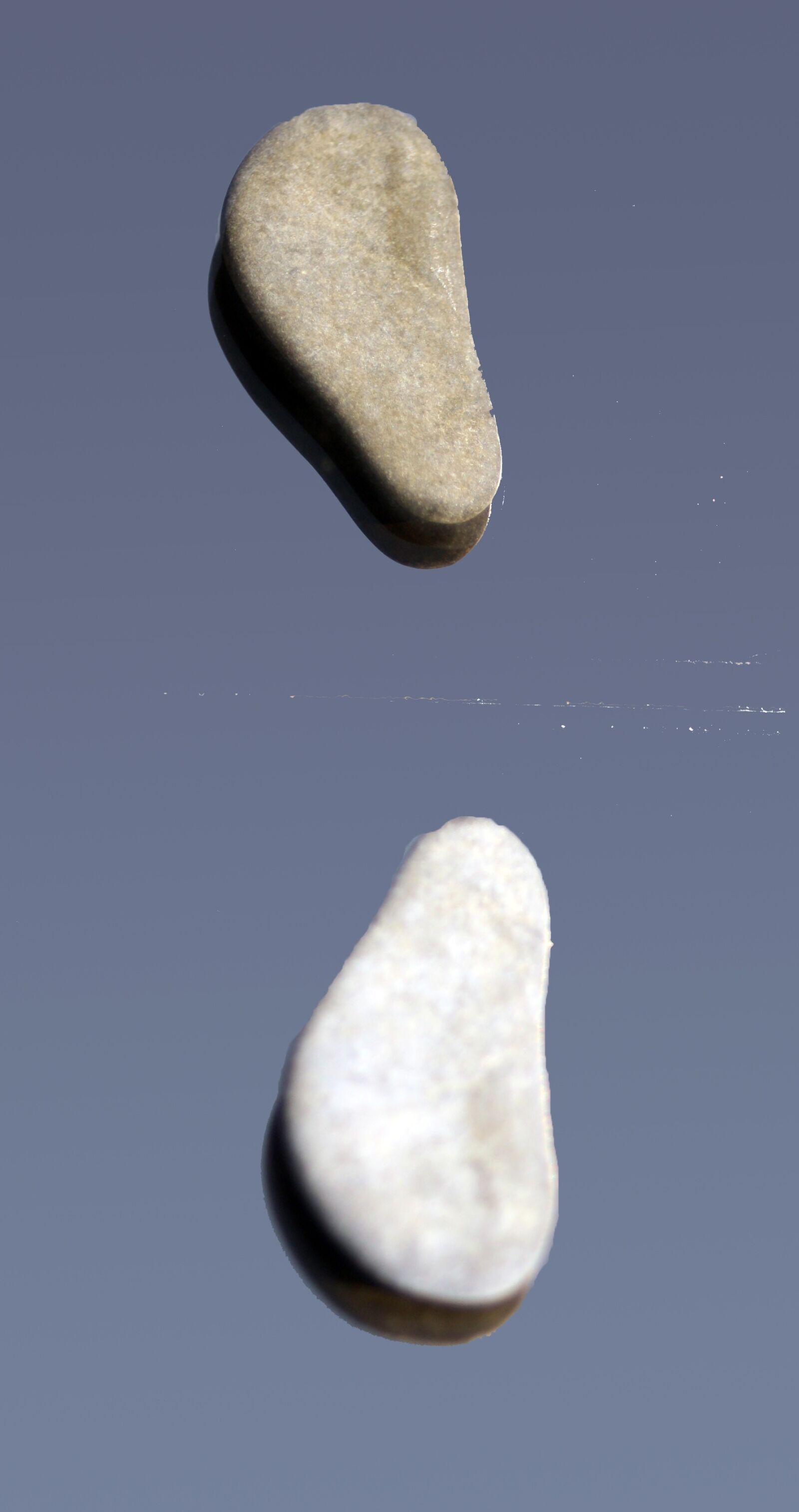 Canon EOS 1000D (EOS Digital Rebel XS / EOS Kiss F) sample photo. Stones, feet, pair photography