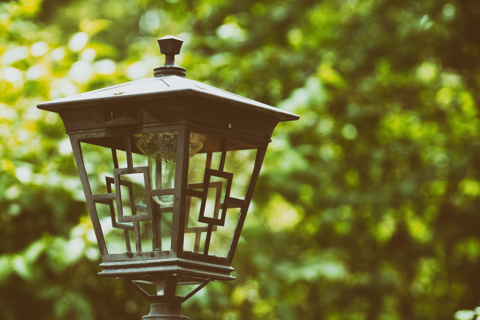 Nikon D7200 sample photo. Street lamp, light, lantern photography