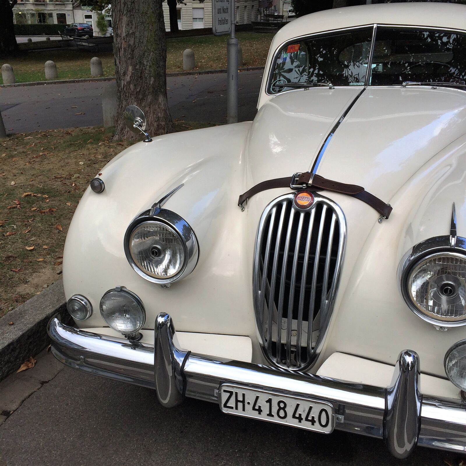 iPhone 5s back camera 4.15mm f/2.2 sample photo. Auto, retro, jaguar photography