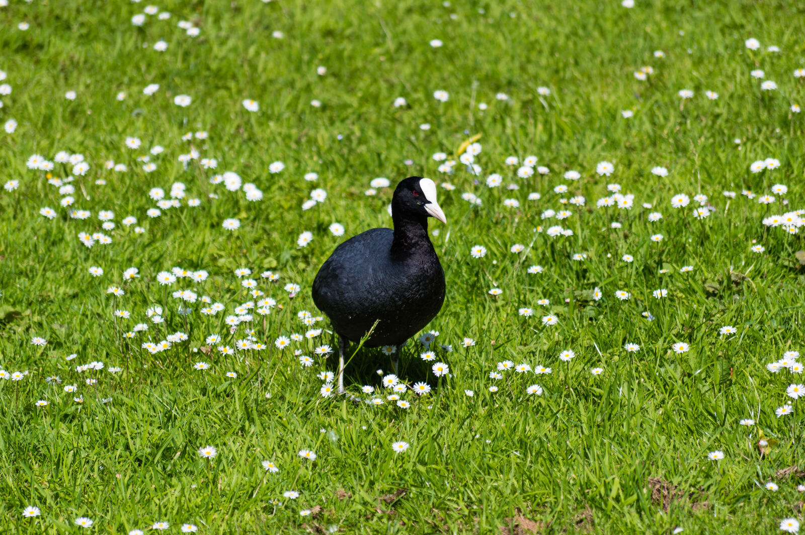 Nikon D3200 sample photo