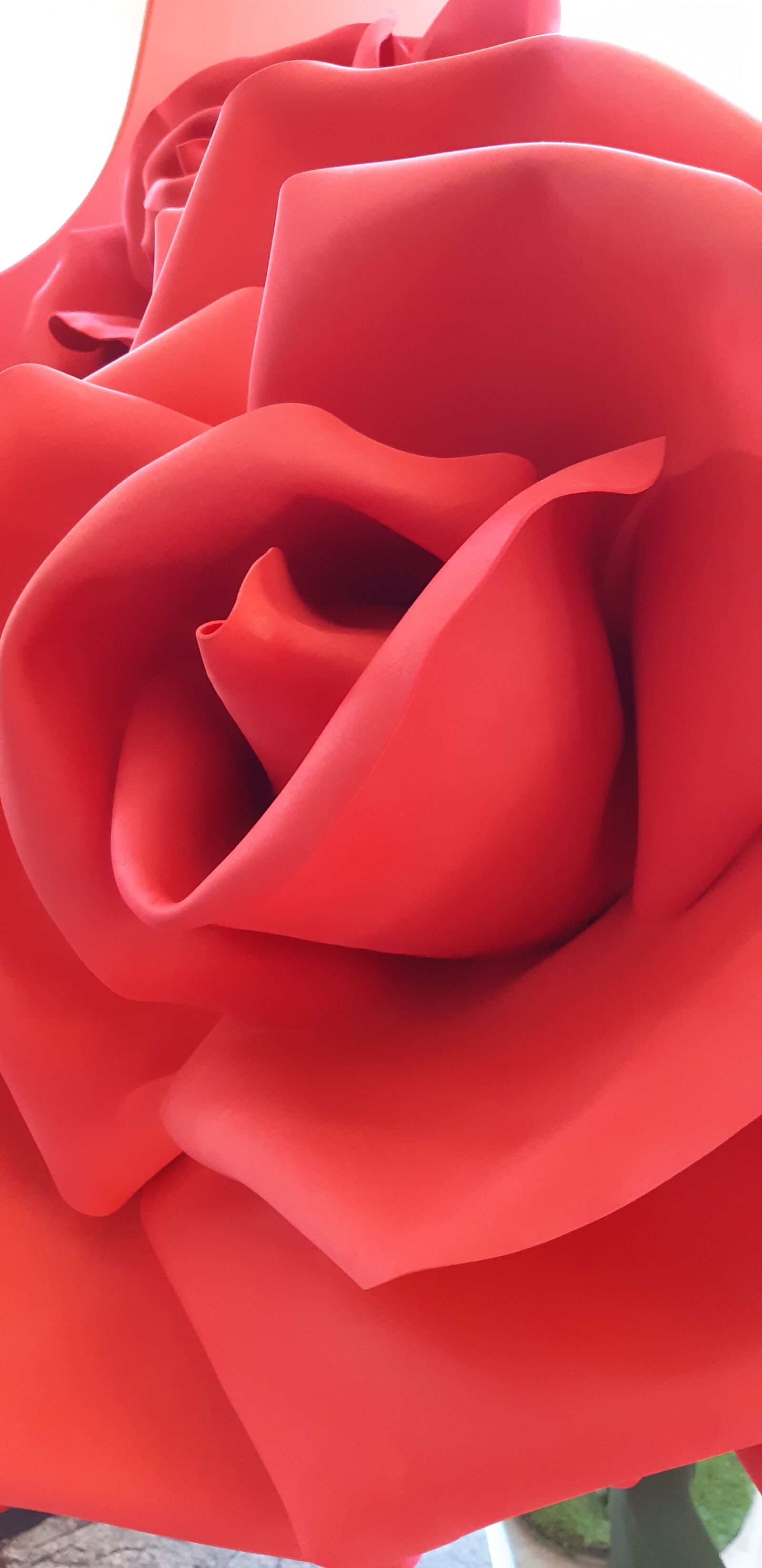 Samsung Galaxy A8(2018) sample photo. Rose, red, foam photography