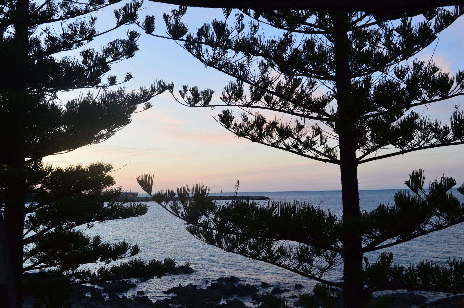 Nikon D3200 sample photo