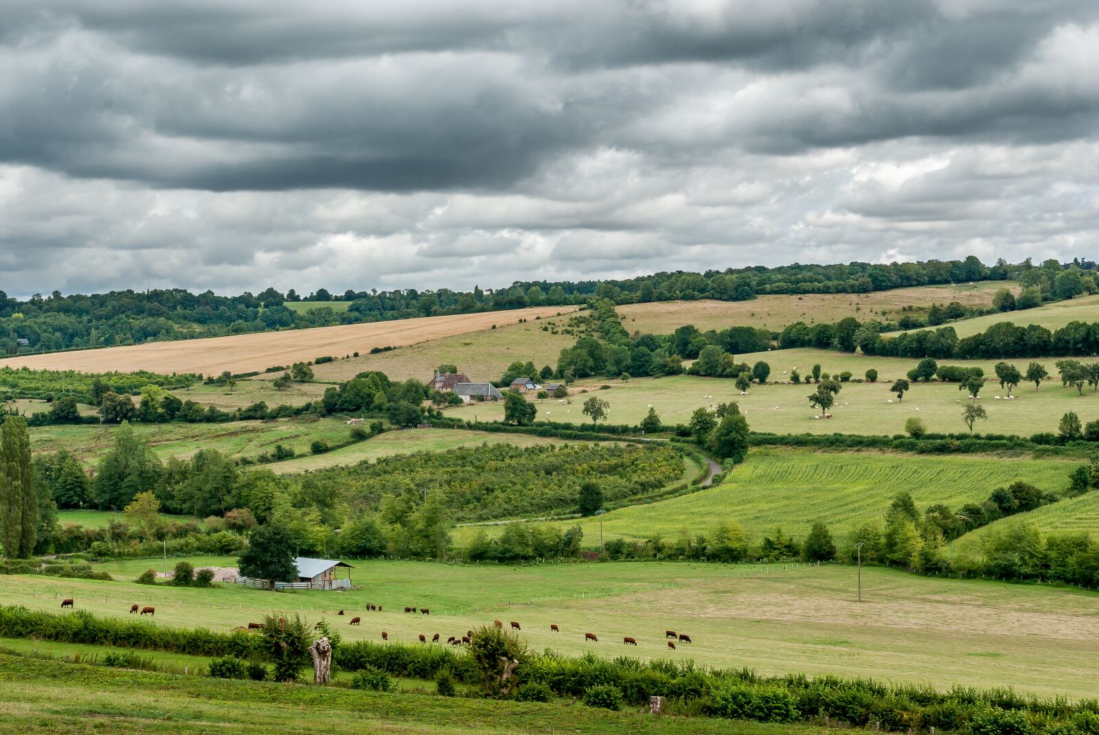 Nikon D80 sample photo. Landscape, rural, france photography
