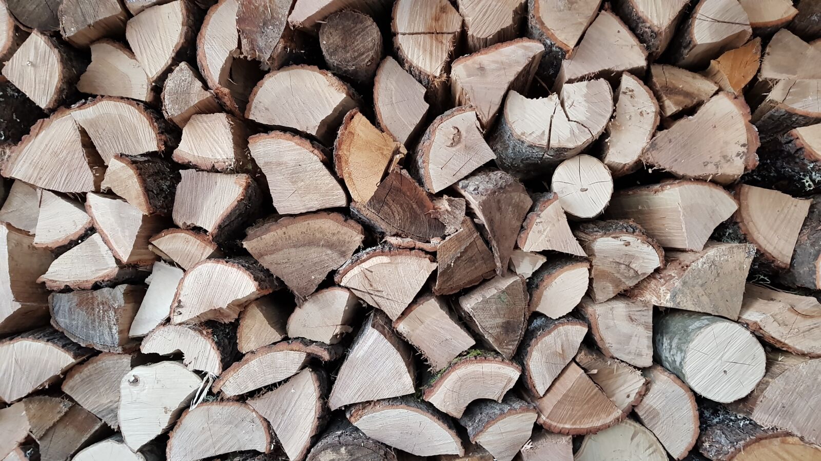 Samsung Galaxy S8 sample photo. Log, splinter, tree photography