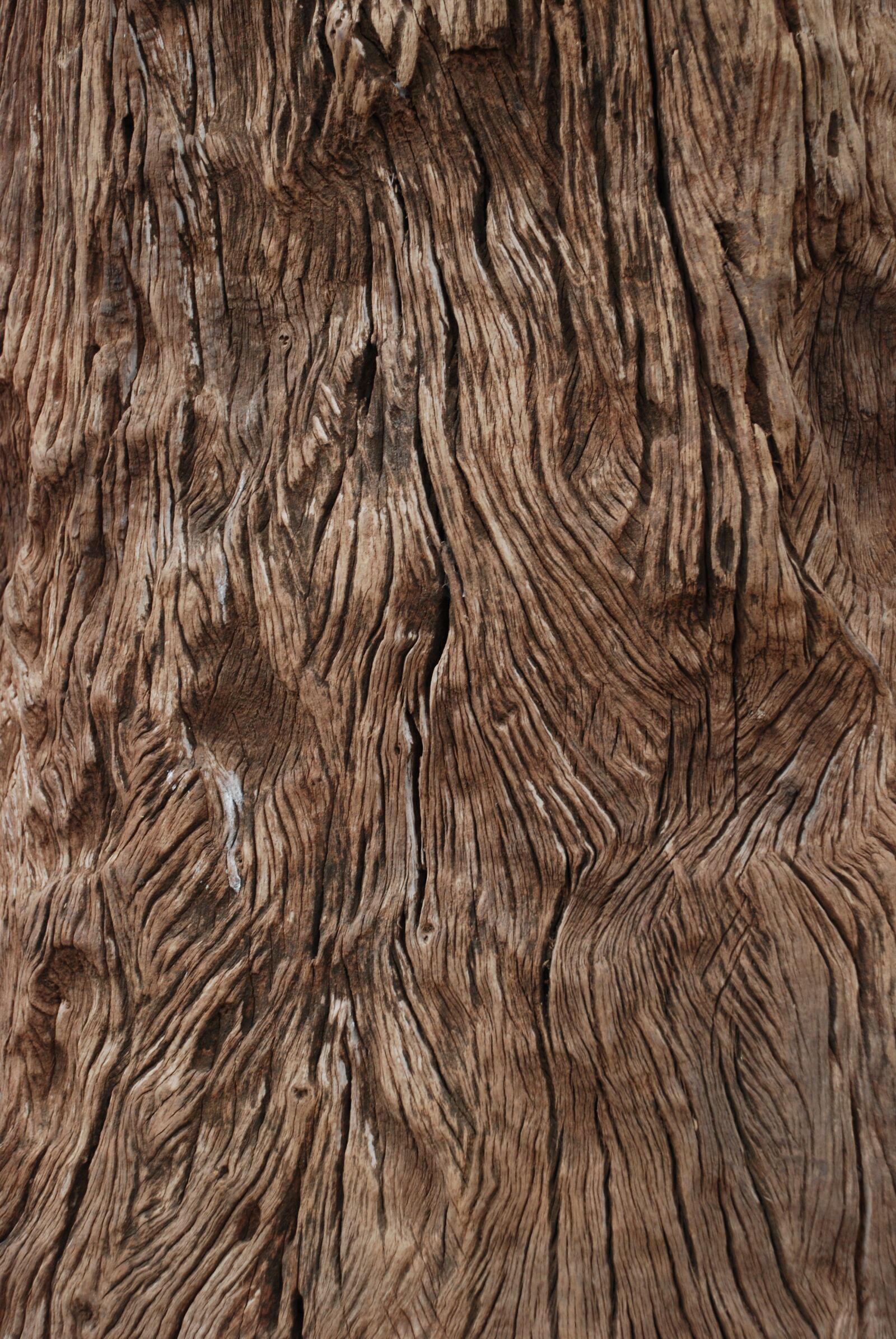 Nikon D80 sample photo. Grain, wood, texture photography