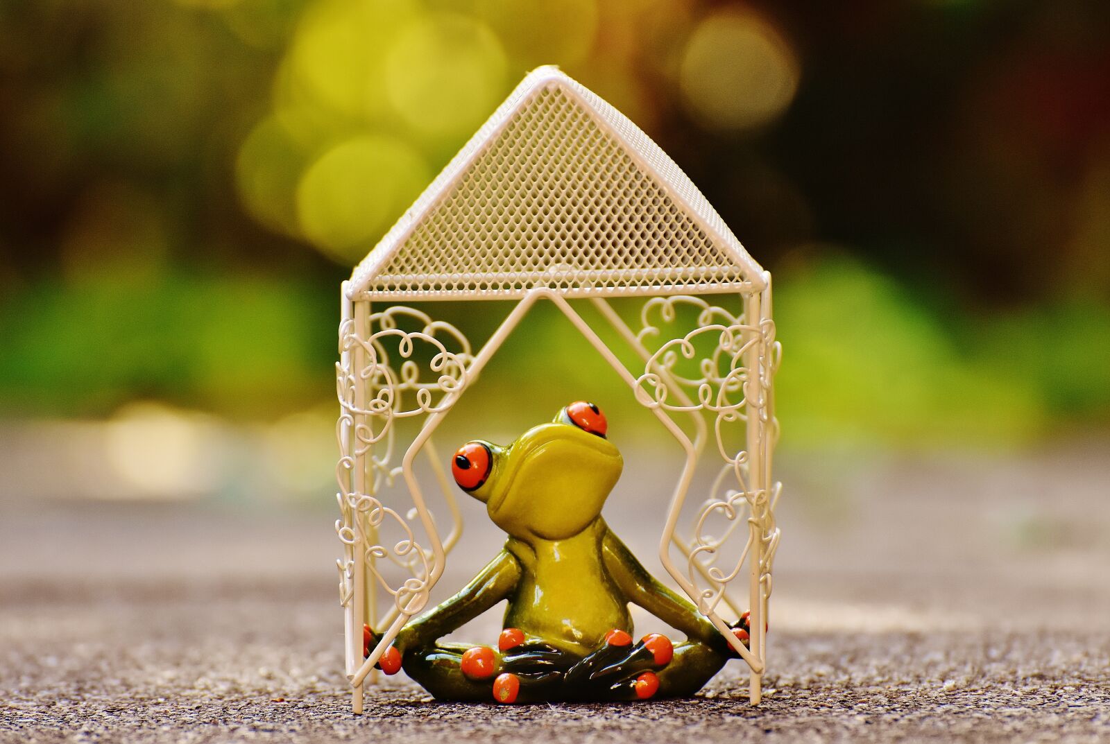 Nikon D7200 sample photo. Pavilion, frog, yoga photography